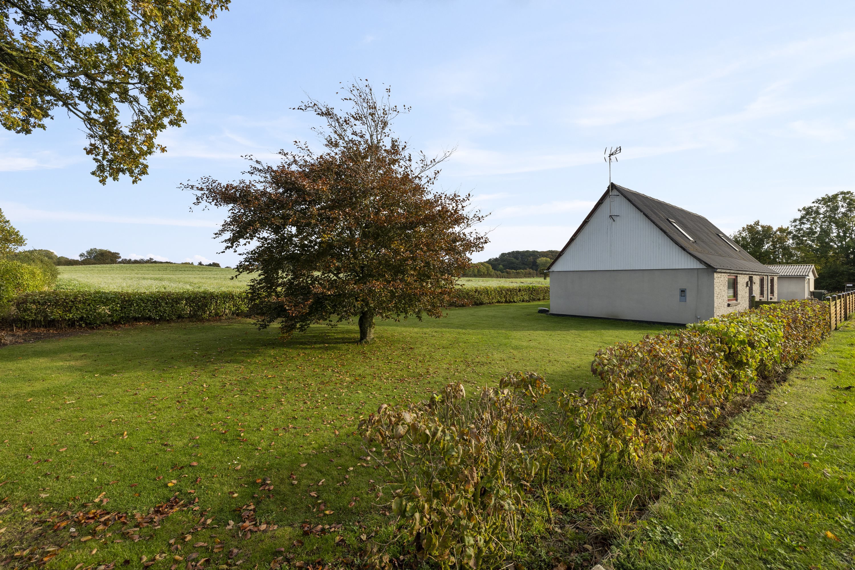 Fremhævet  billede i fuldskærmstilstand. Billede af Tryggelev 13, Tryggelev, 5932 Humble