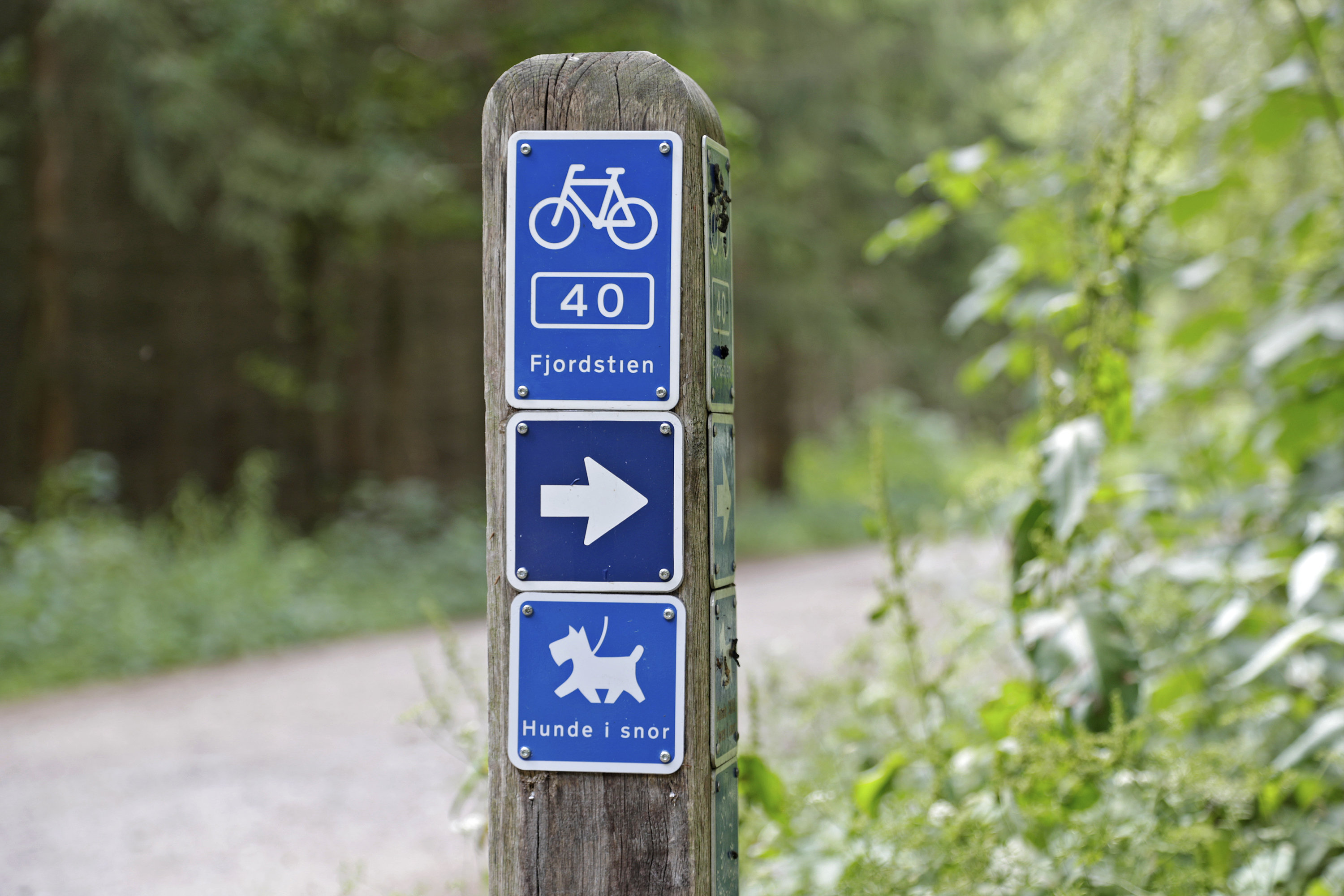 Fremhævet  billede i fuldskærmstilstand. Billede af Gøgevænget 39, Vellerup, 4050 Skibby