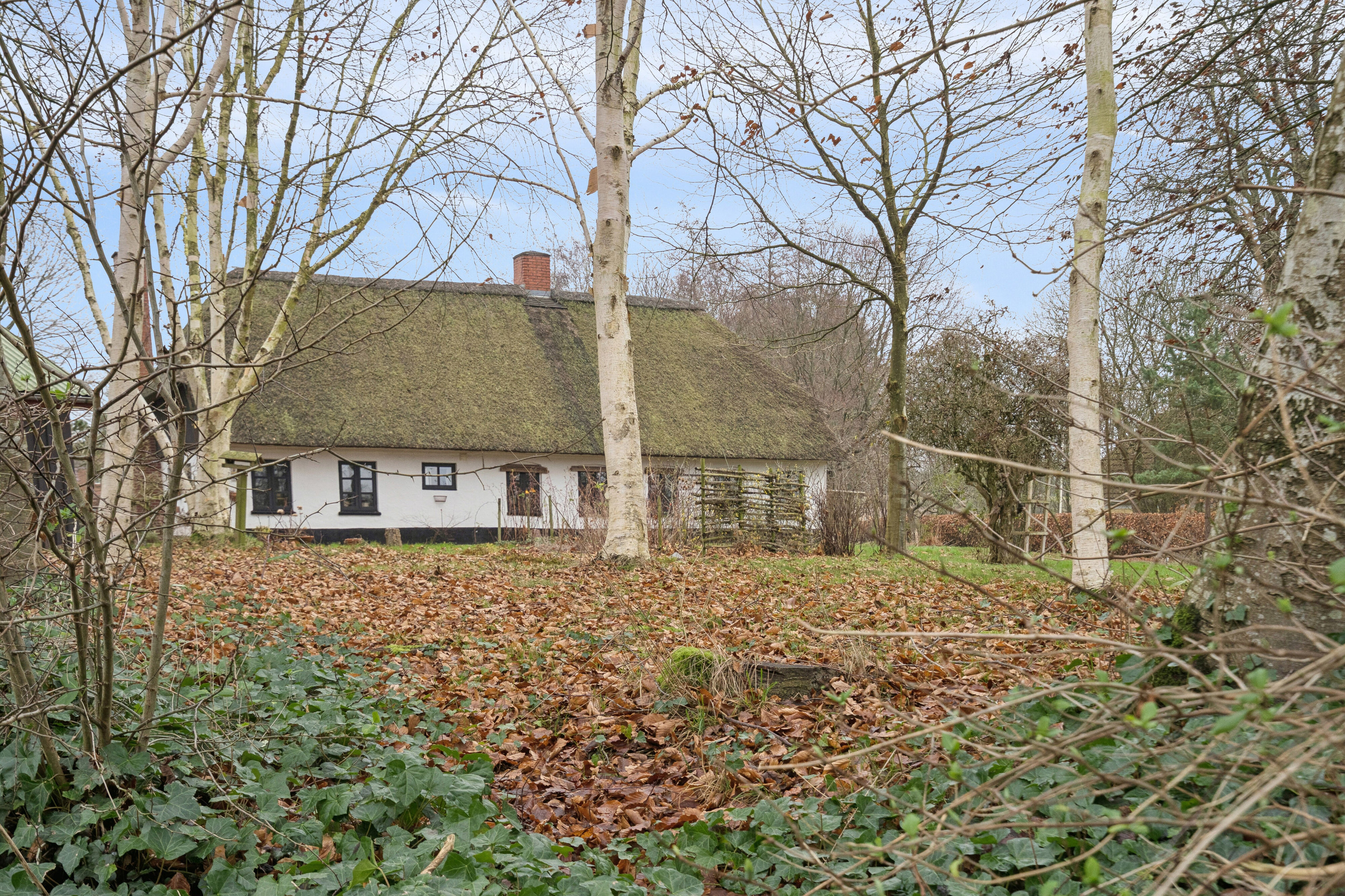 Fremhævet udendørs billede i fuldskærmstilstand. Billede af Kirsbølvej 19, 6064 Jordrup