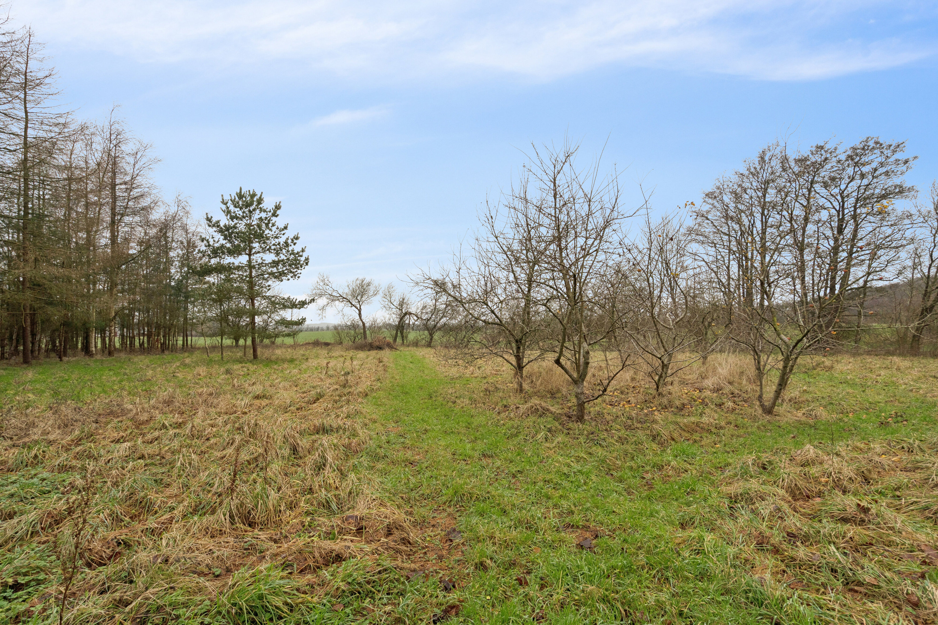 Fremhævet udendørs billede i fuldskærmstilstand. Billede af Kirsbølvej 19, 6064 Jordrup