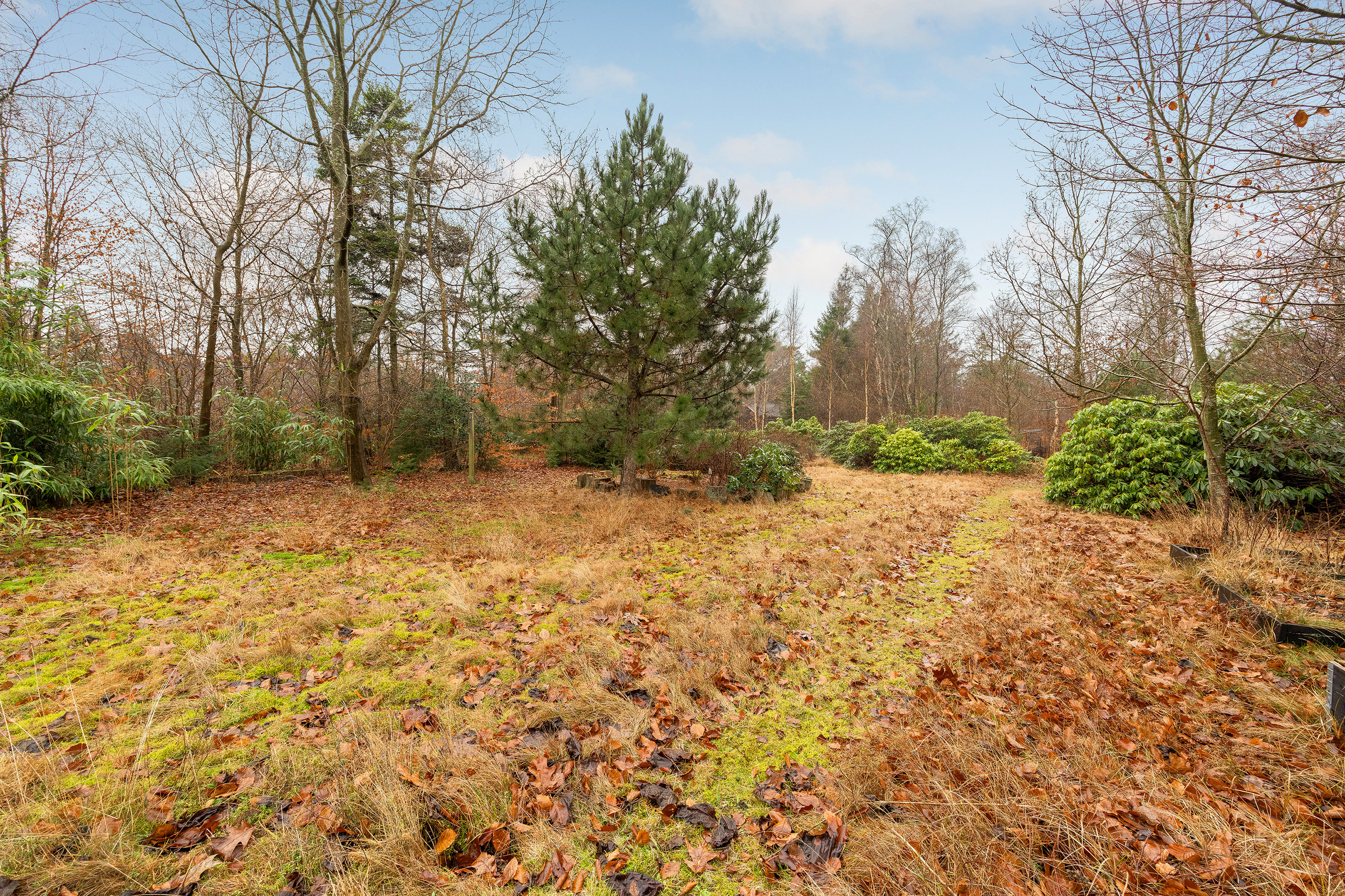 Fremhævet have billede i fuldskærmstilstand. Billede af Tvede Linds Vej 3B, Tibirke Sand, 3300 Frederiksværk