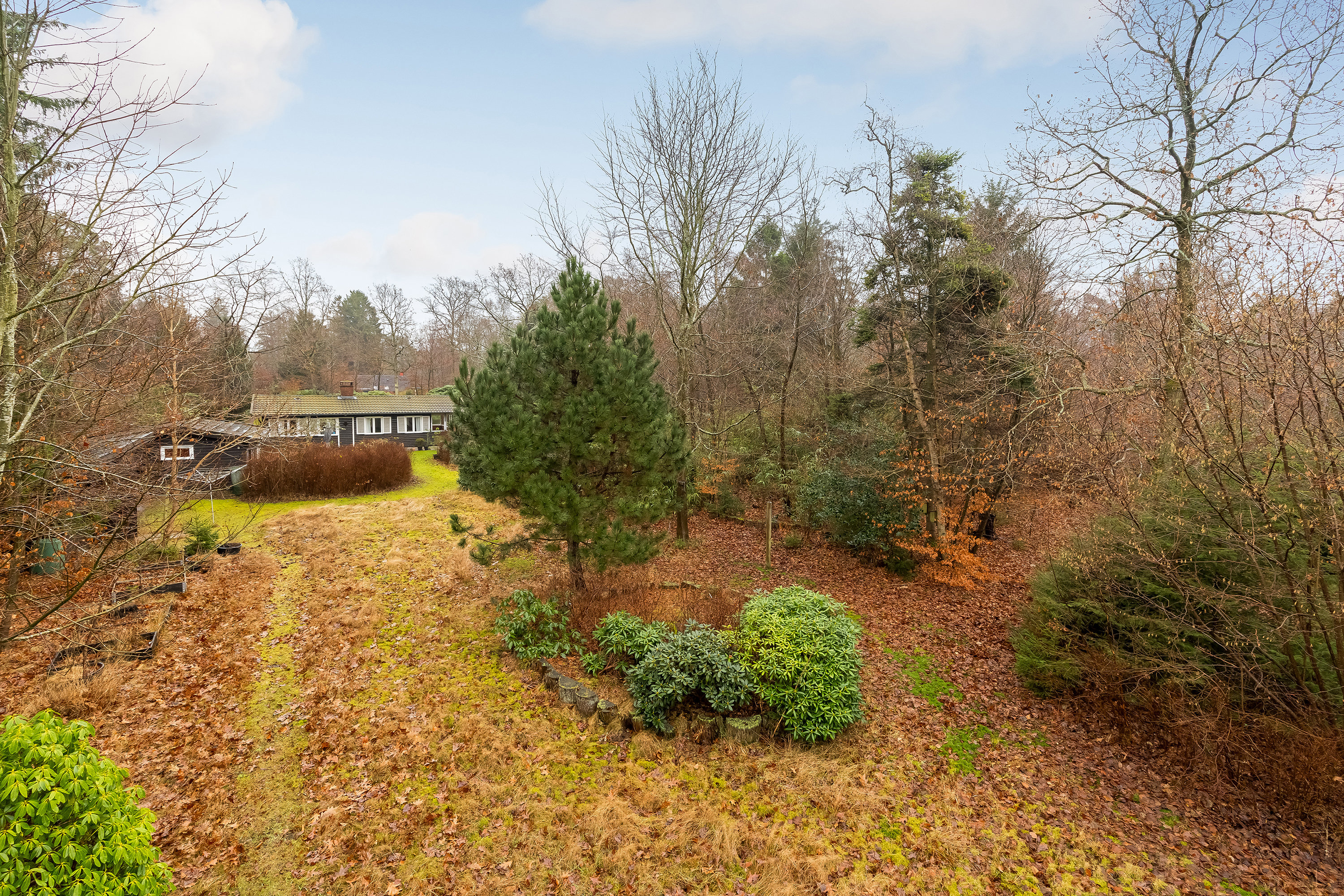 Fremhævet have billede i fuldskærmstilstand. Billede af Tvede Linds Vej 3B, Tibirke Sand, 3300 Frederiksværk