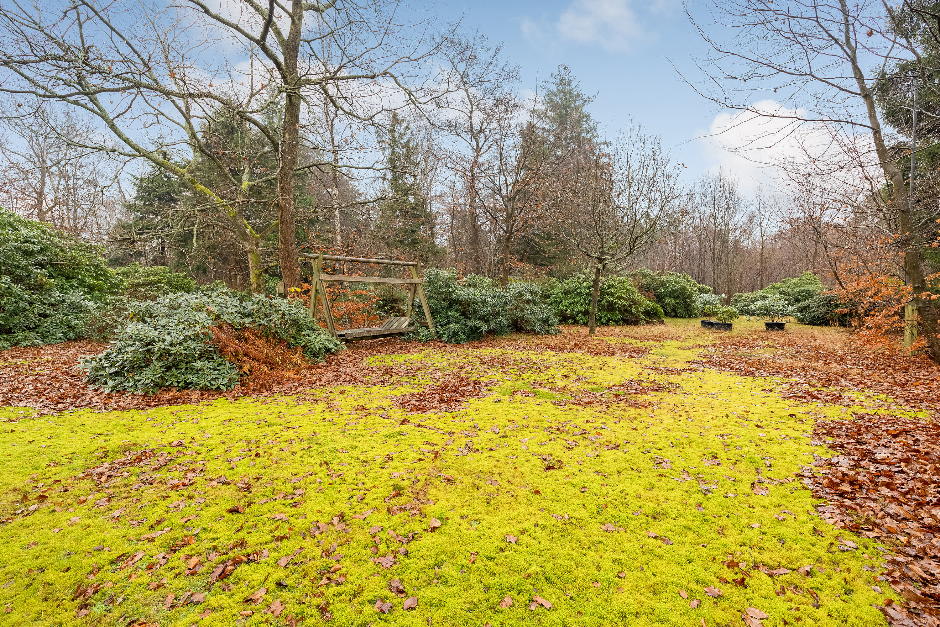 Fremhævet have billede i fuldskærmstilstand. Billede af Tvede Linds Vej 3B, Tibirke Sand, 3300 Frederiksværk