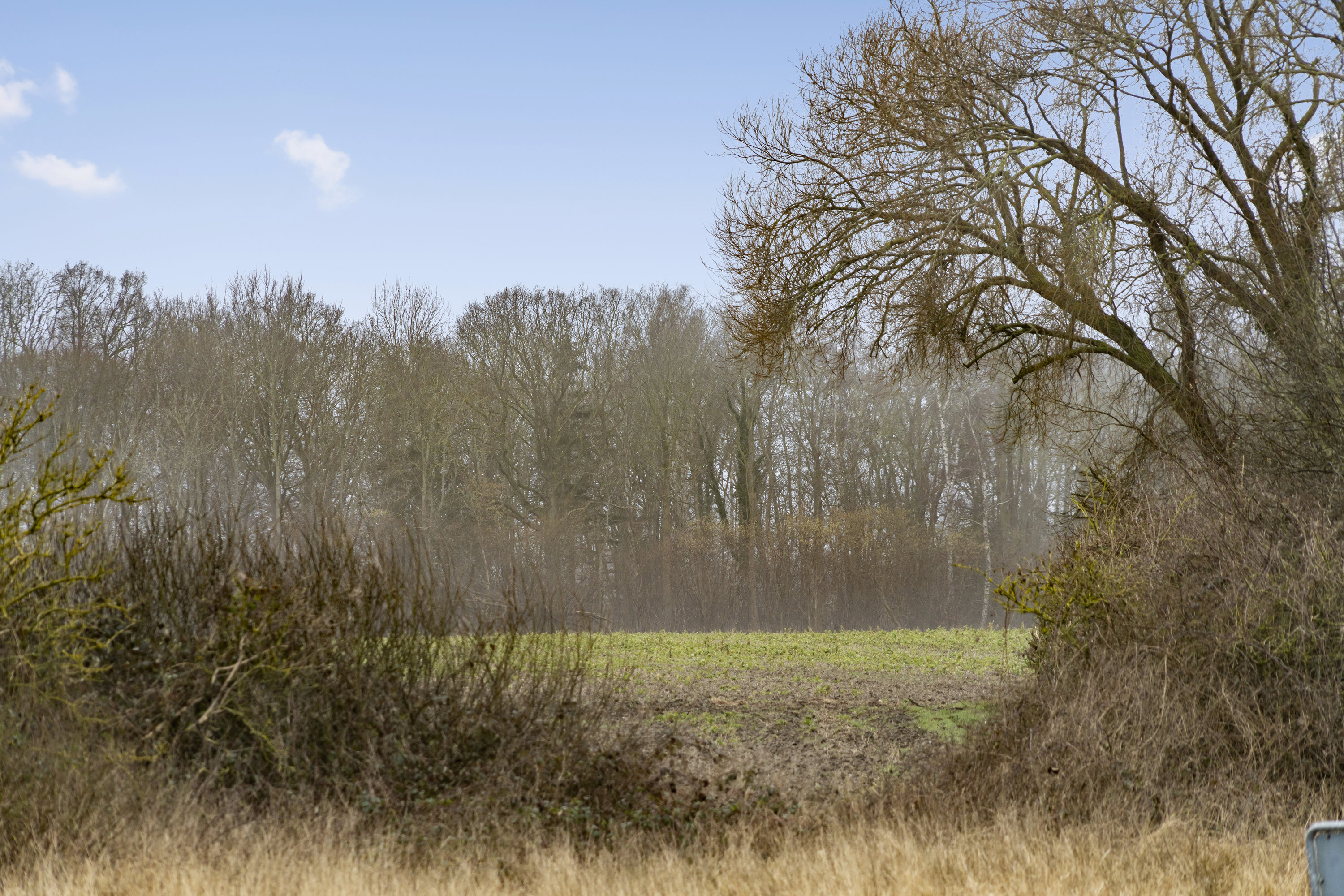 Miniaturebillede 1: . Billede af Sibiriensvænget 106, Revninge, 5300 Kerteminde