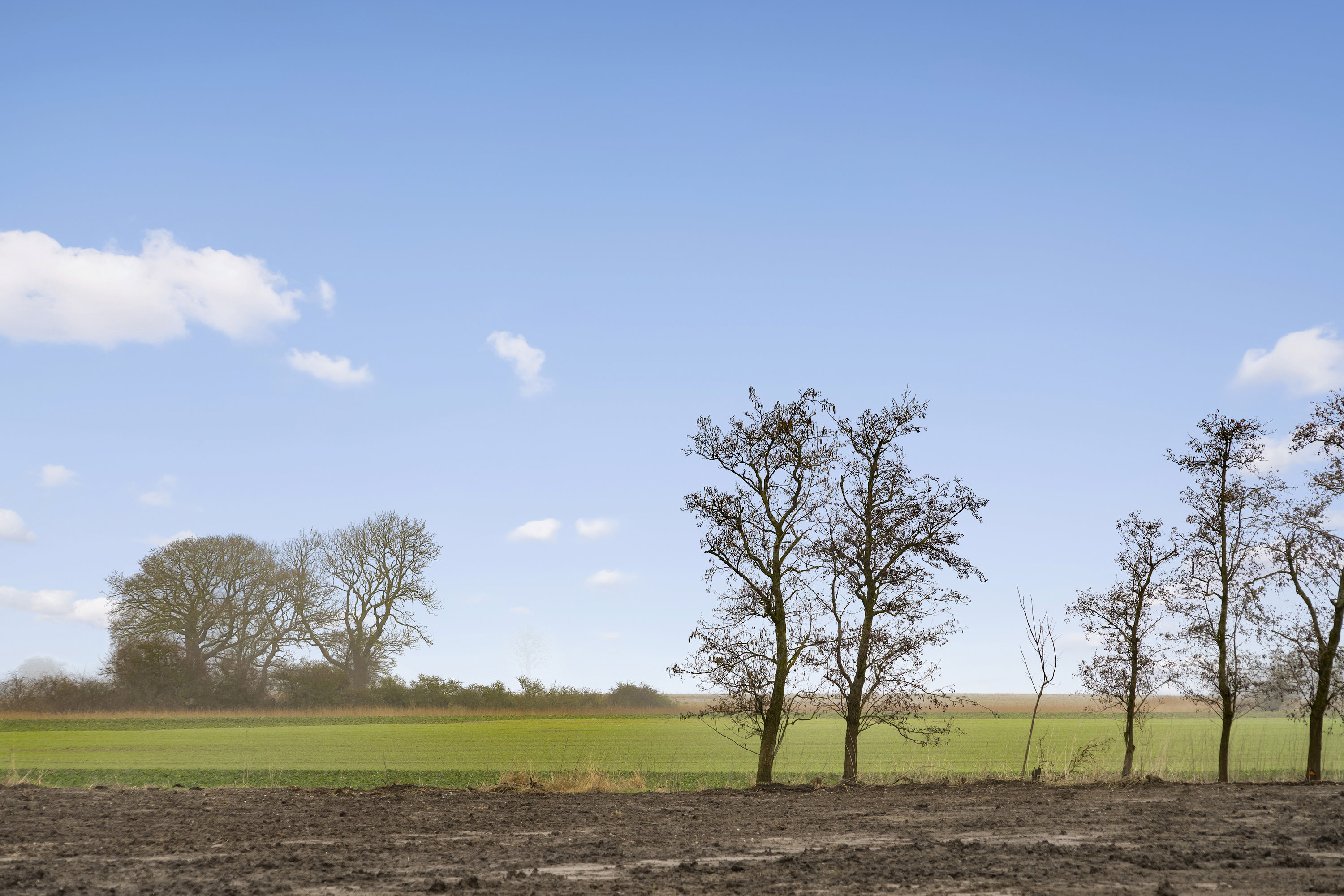 Fremhævet  billede i fuldskærmstilstand. Billede af Sibiriensvænget 106, Revninge, 5300 Kerteminde