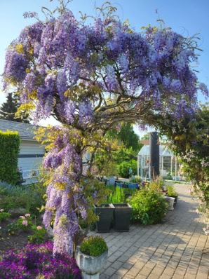 Fremhævet  billede i fuldskærmstilstand. Billede af Rugmarksvej 1, 5800 Nyborg