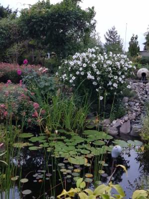 Fremhævet  billede i fuldskærmstilstand. Billede af Rugmarksvej 1, 5800 Nyborg