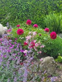 Fremhævet  billede i fuldskærmstilstand. Billede af Rugmarksvej 1, 5800 Nyborg