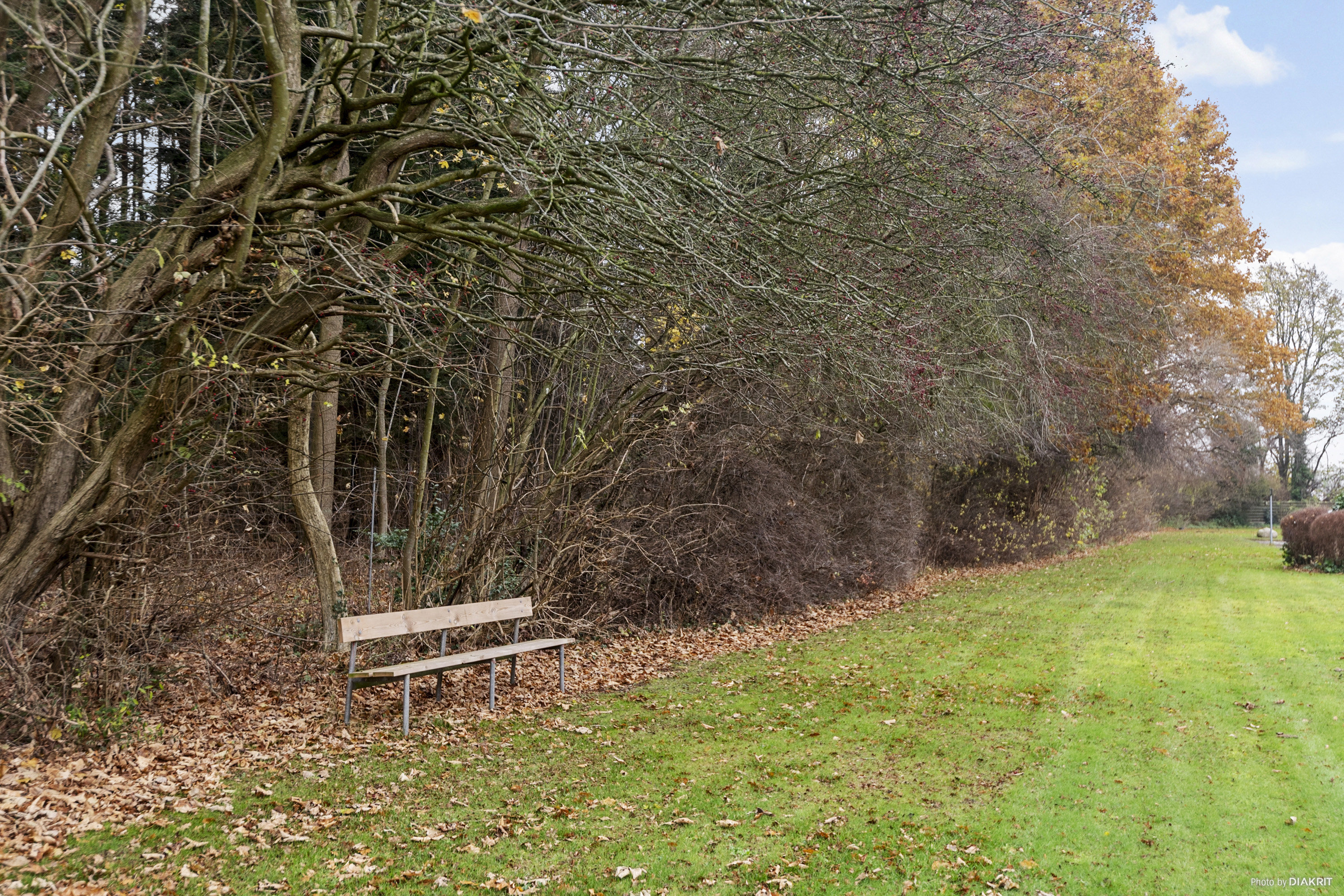 Fremhævet område billede i fuldskærmstilstand. Billede af Skovbrynet 1, st.. tv., 4681 Herfølge