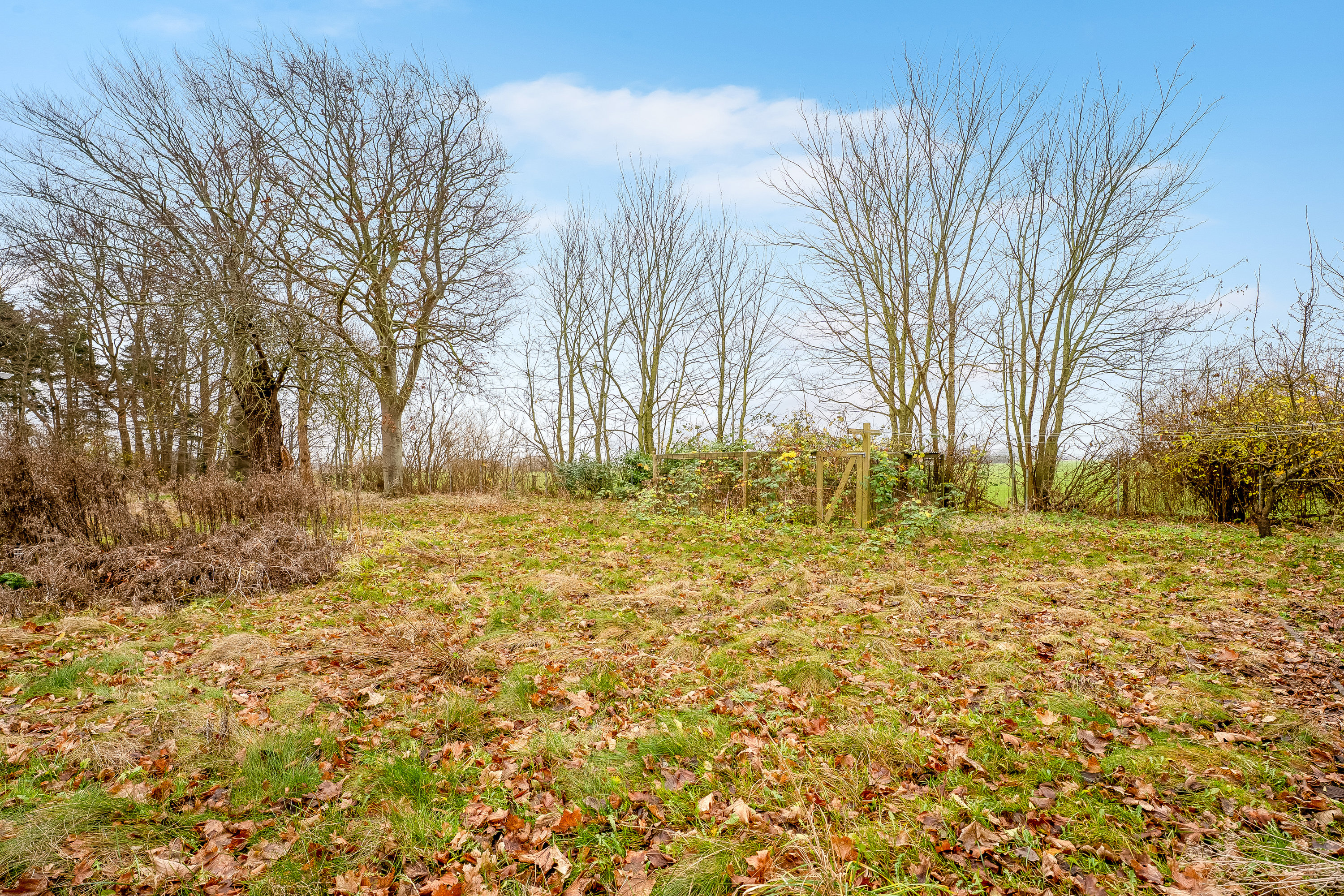 Fremhævet have billede i fuldskærmstilstand. Billede af Kuditsevej 6, 4983 Dannemare