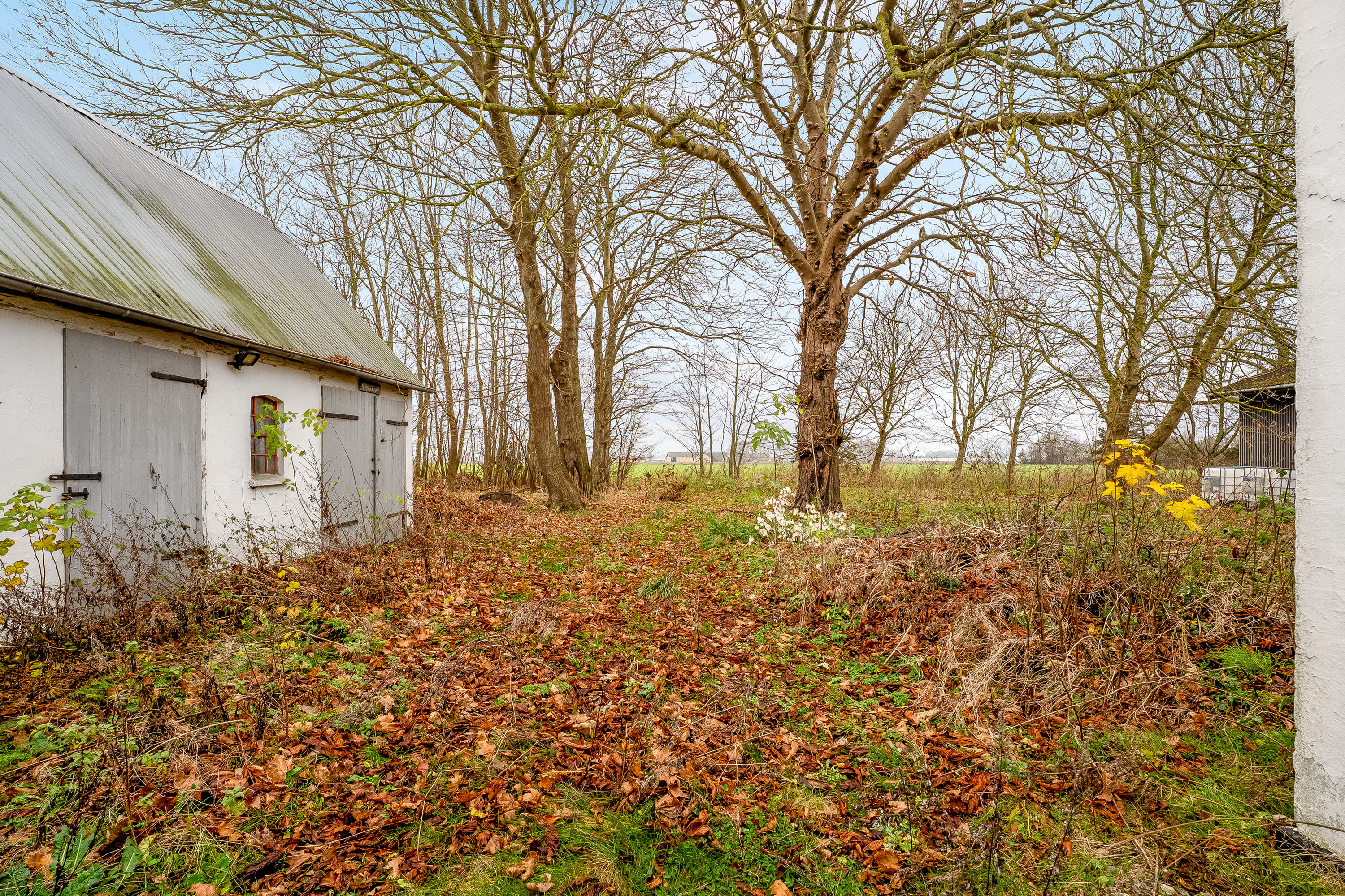 Fremhævet have billede i fuldskærmstilstand. Billede af Kuditsevej 6, 4983 Dannemare