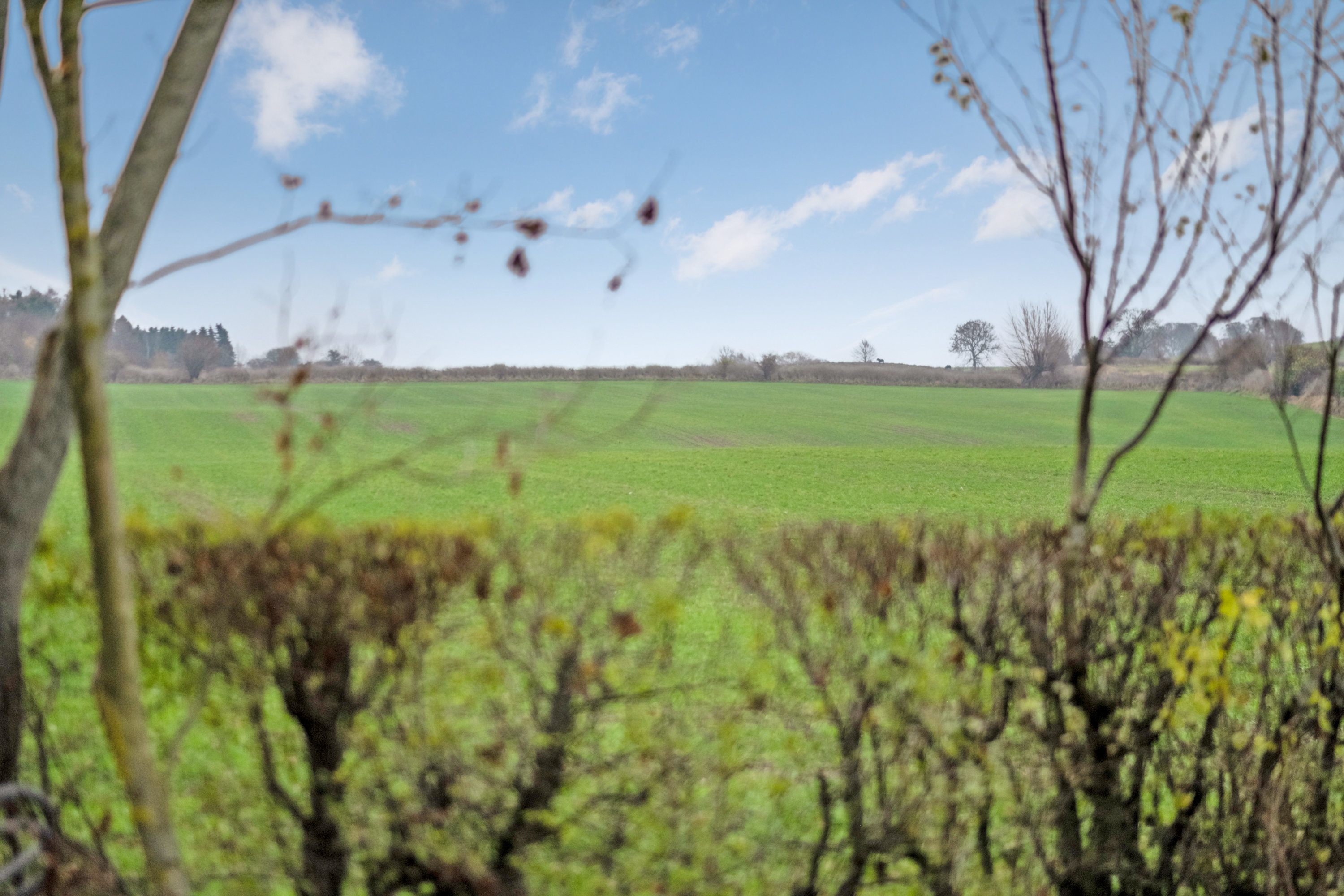 Fremhævet udsigt billede i fuldskærmstilstand. Billede af Odensevej 56, Hjulby, 5800 Nyborg