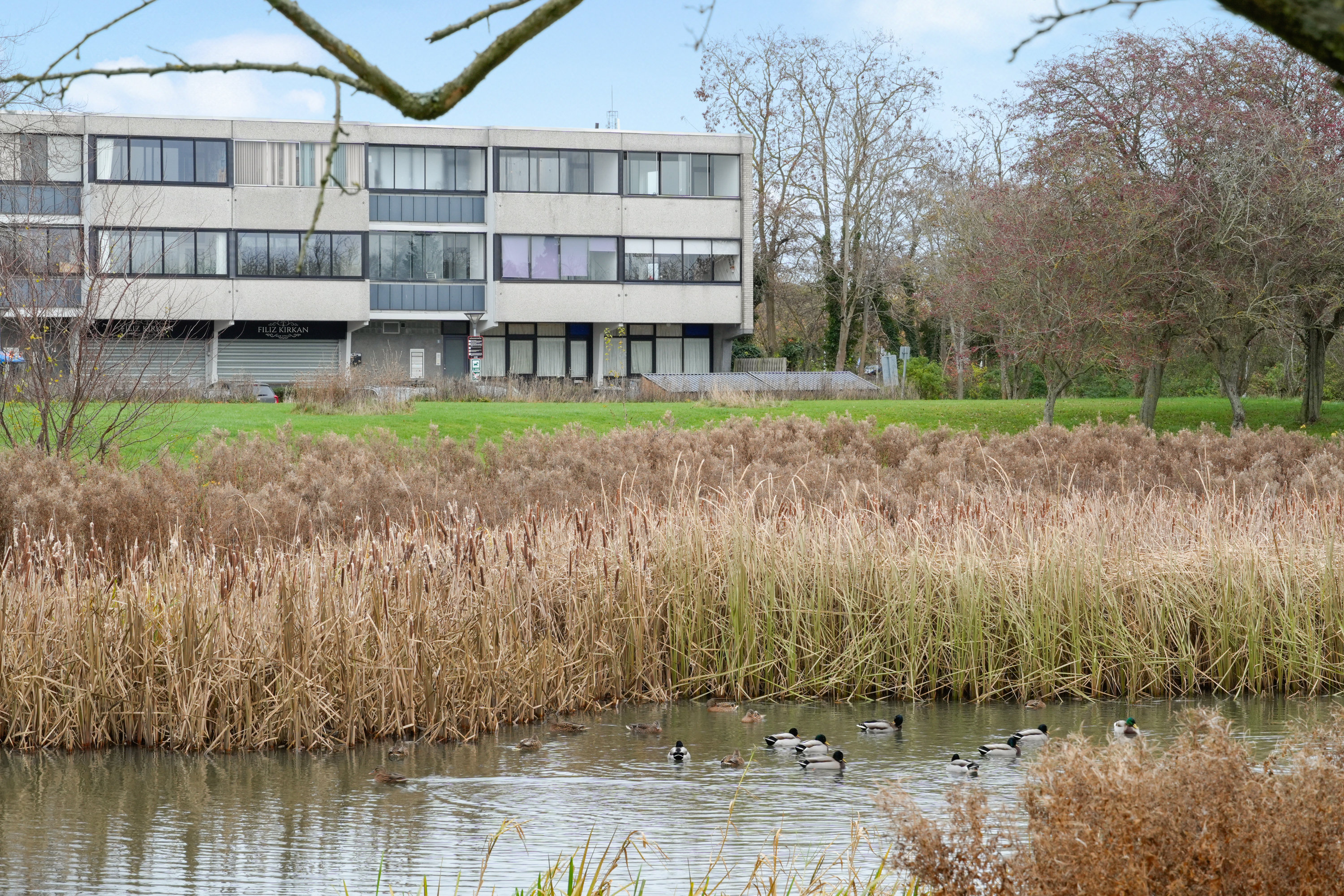 Ejerlejlighed: Andet på Jægerbuen 20, 2. tv., 2635 Ishøj