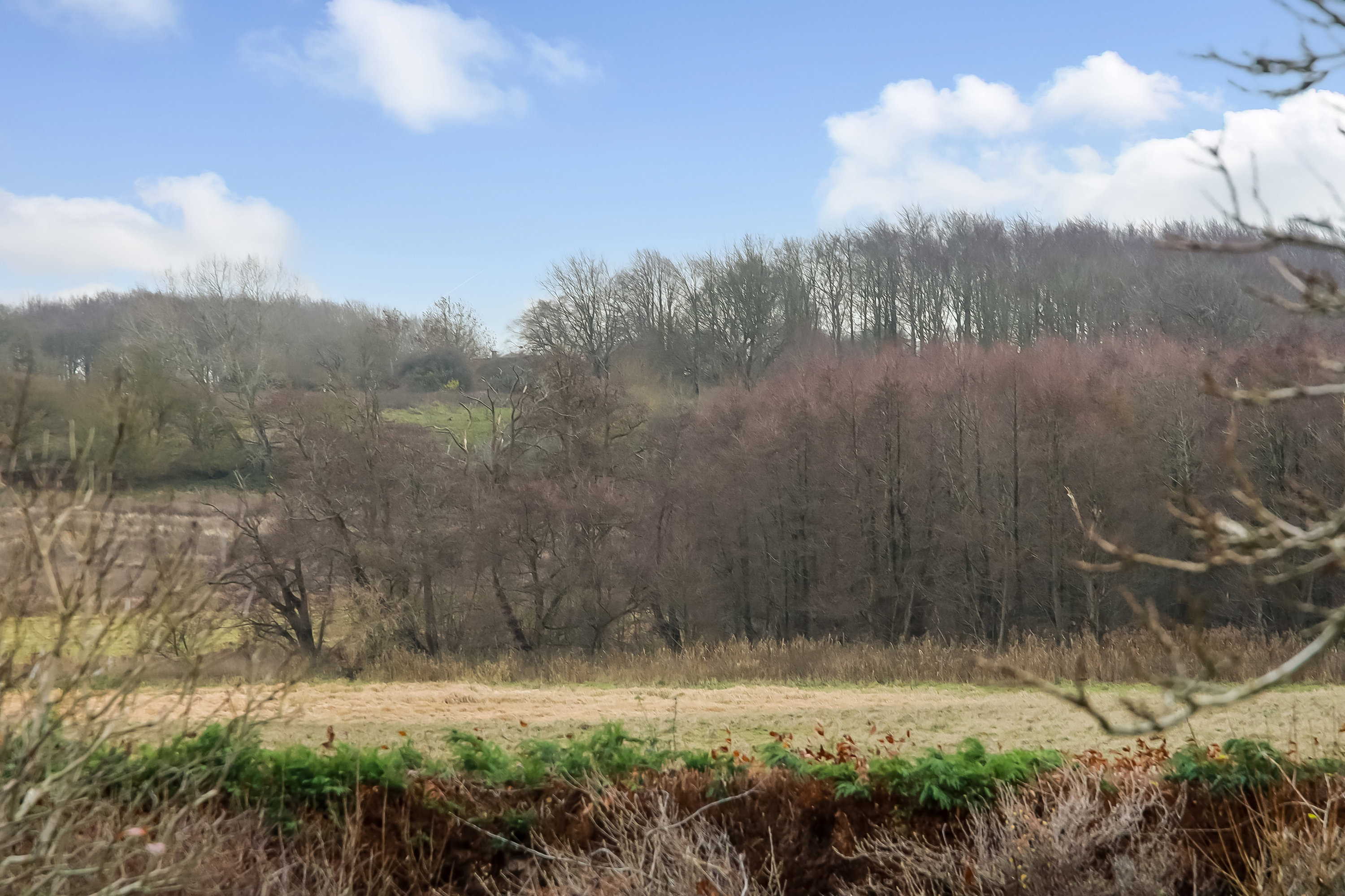 Fremhævet område billede i fuldskærmstilstand. Billede af Slotsgade 14, Tranekær, 5953 Tranekær