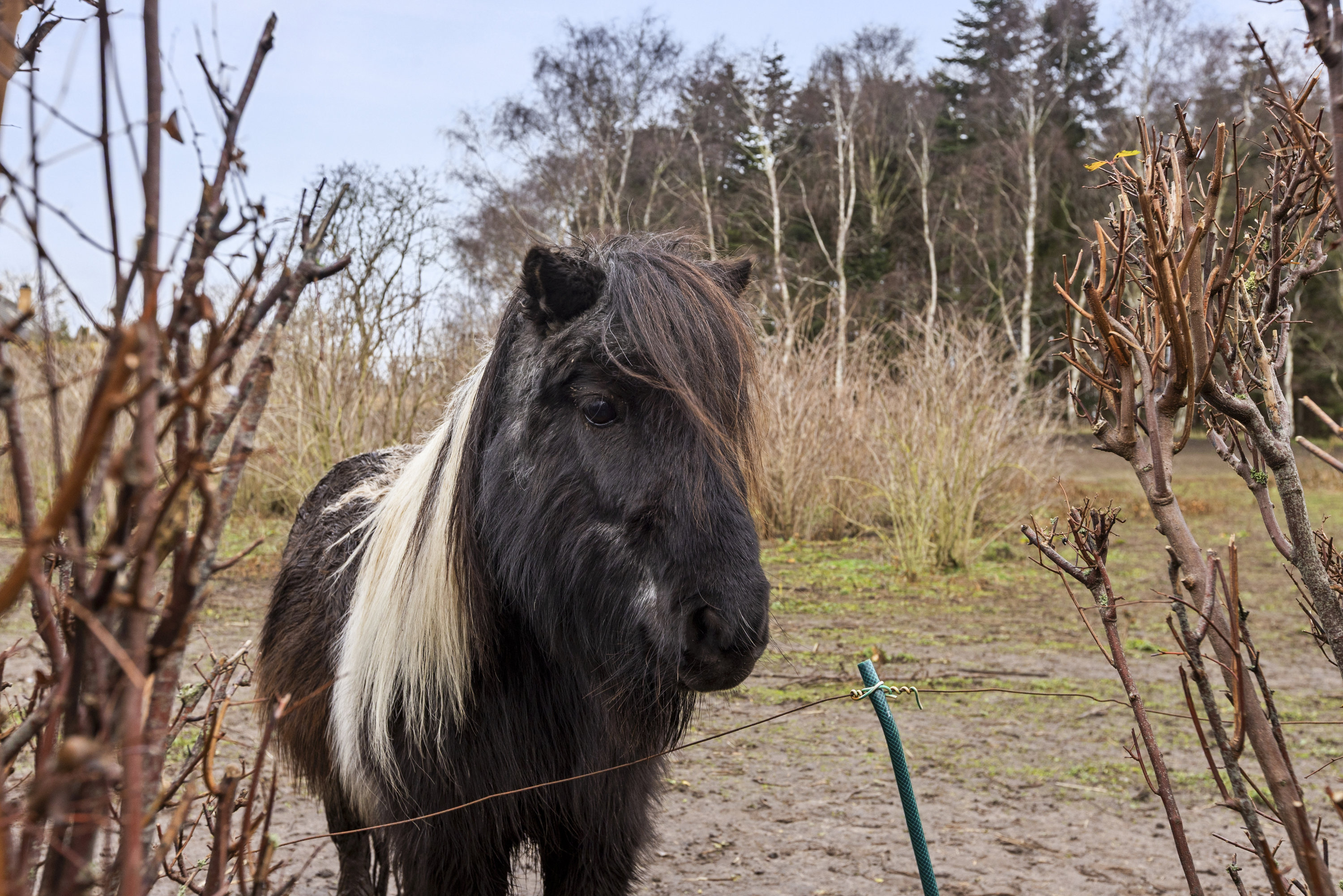 Fremhævet udsigt billede i fuldskærmstilstand. Billede af Hylleåsen 26B, Flakkebjerg, 4200 Slagelse