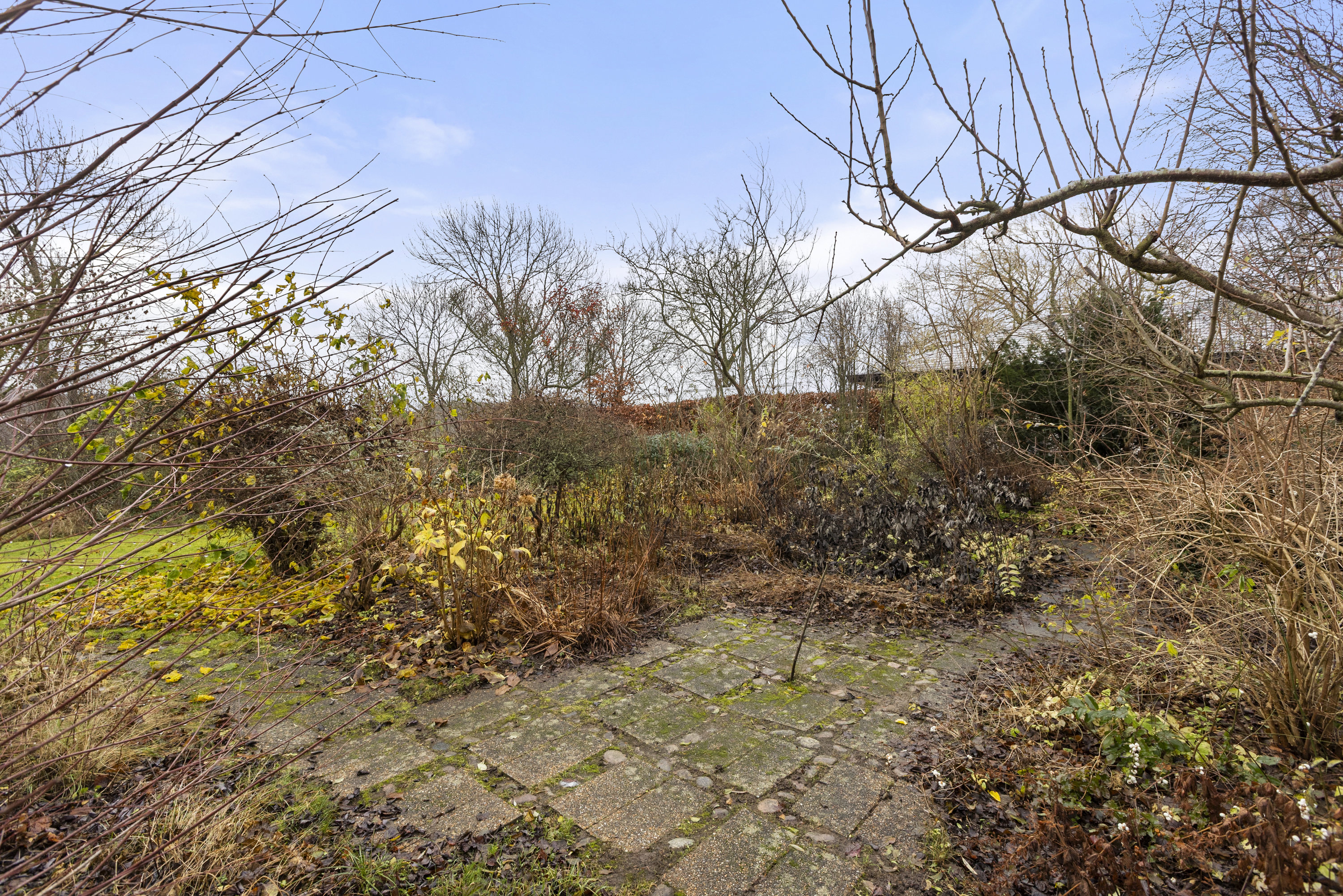 Fremhævet terrasse billede i fuldskærmstilstand. Billede af Fuglebakken 1, 4220 Korsør