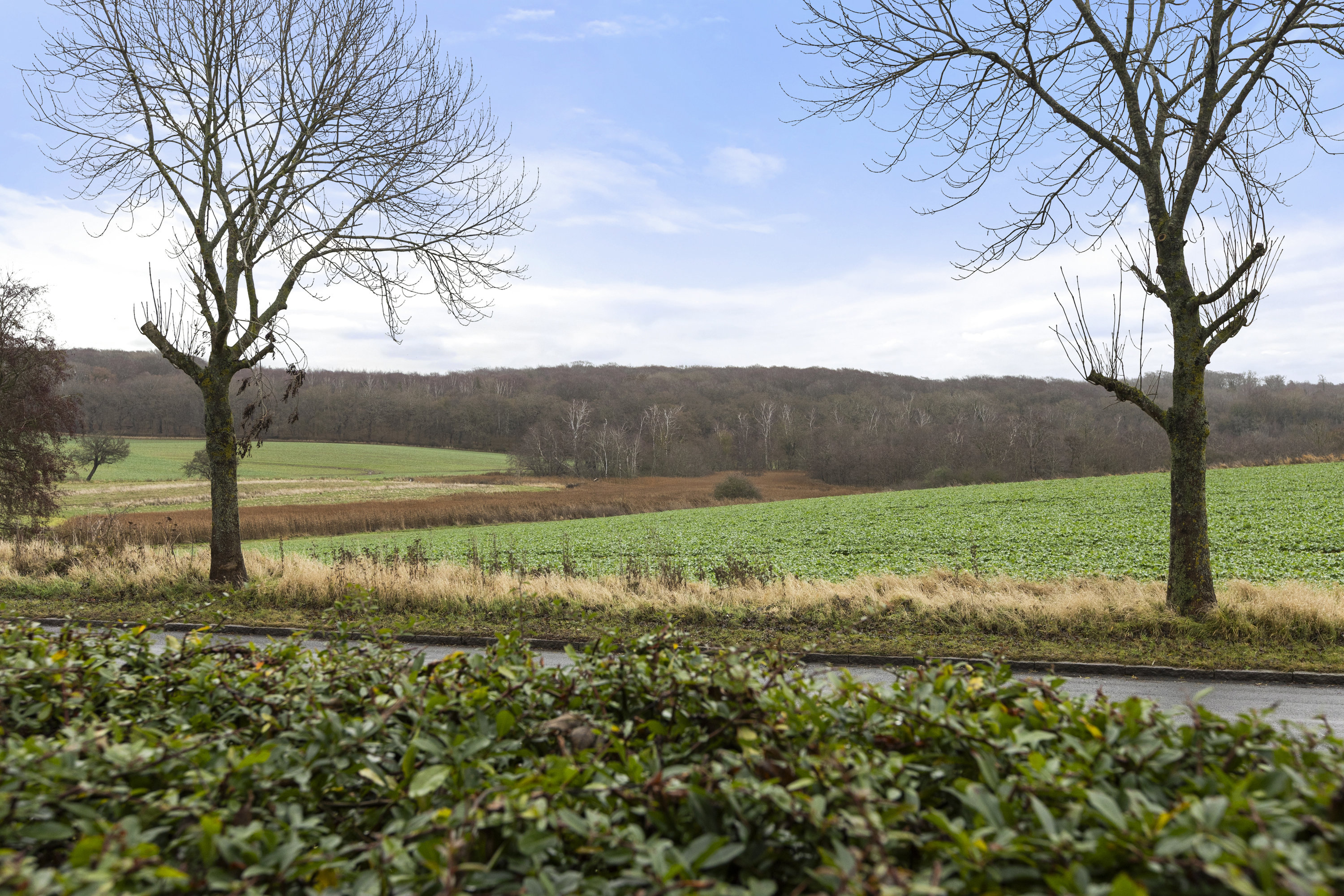 Fremhævet udsigt billede i fuldskærmstilstand. Billede af Fuglebakken 1, 4220 Korsør
