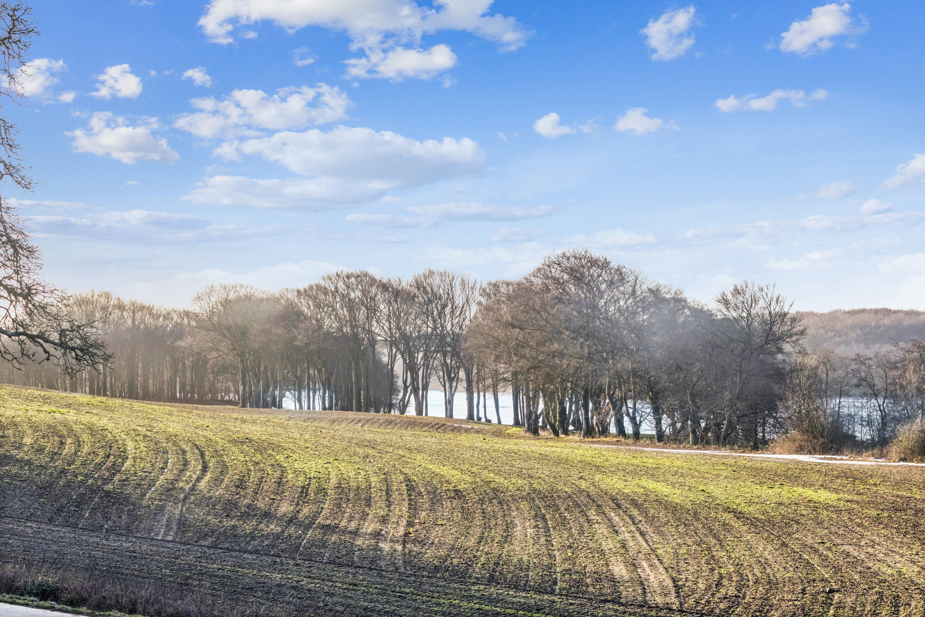 Fremhævet omgivelser billede i fuldskærmstilstand. Billede af Flensborg Landevej 17, Søgaard, 6200 Aabenraa