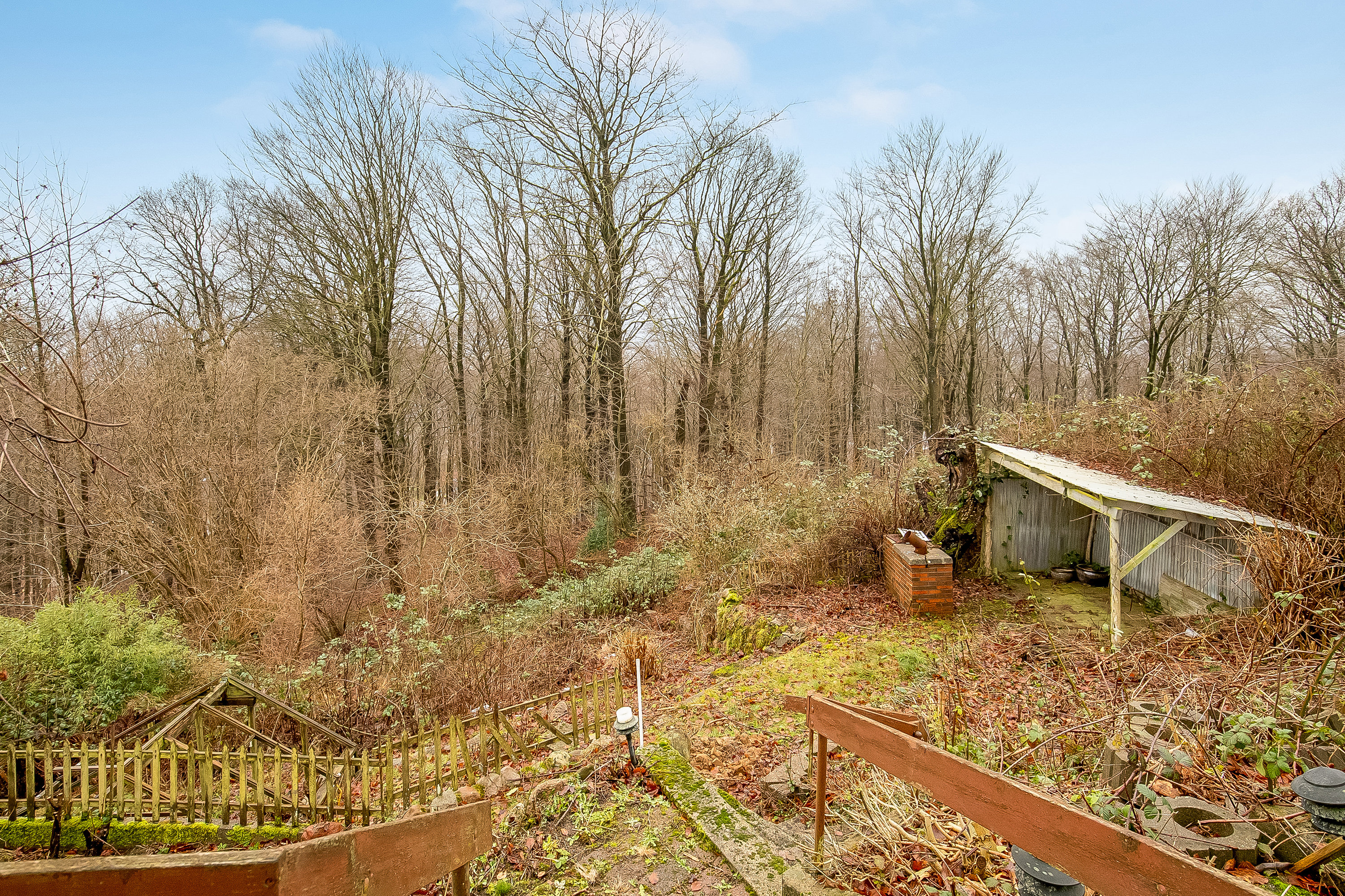 Fremhævet skov billede i fuldskærmstilstand. Billede af Venusvej 40, 7100 Vejle