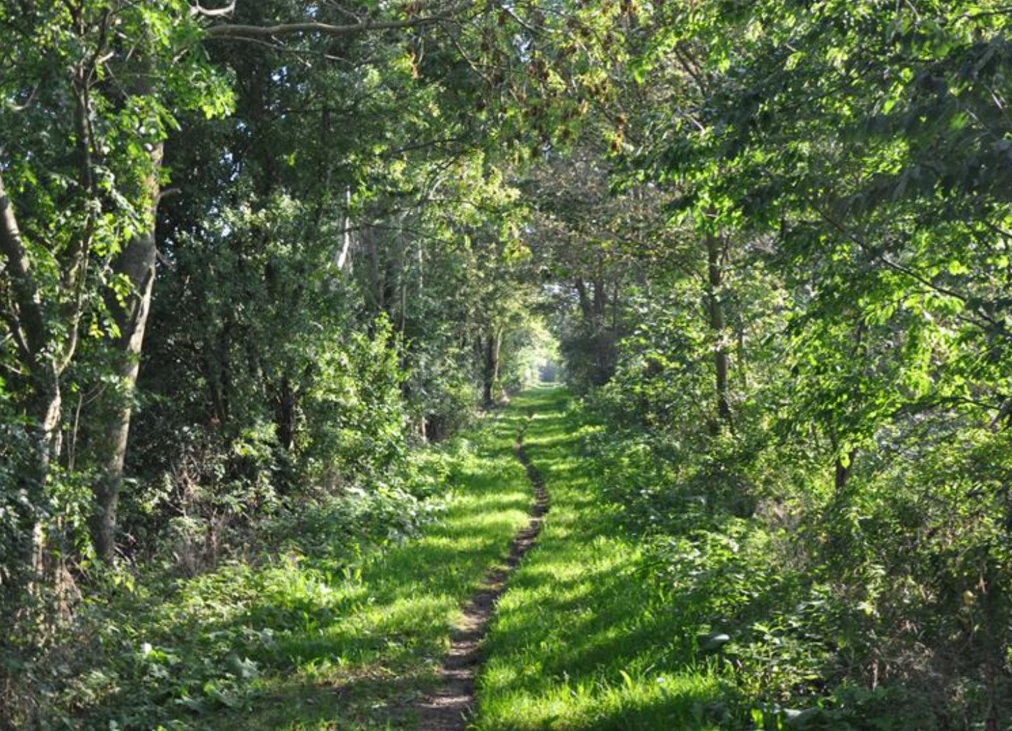 Fremhævet andet billede i fuldskærmstilstand. Billede af Solbjerggårdsvej 5, 4281 Gørlev