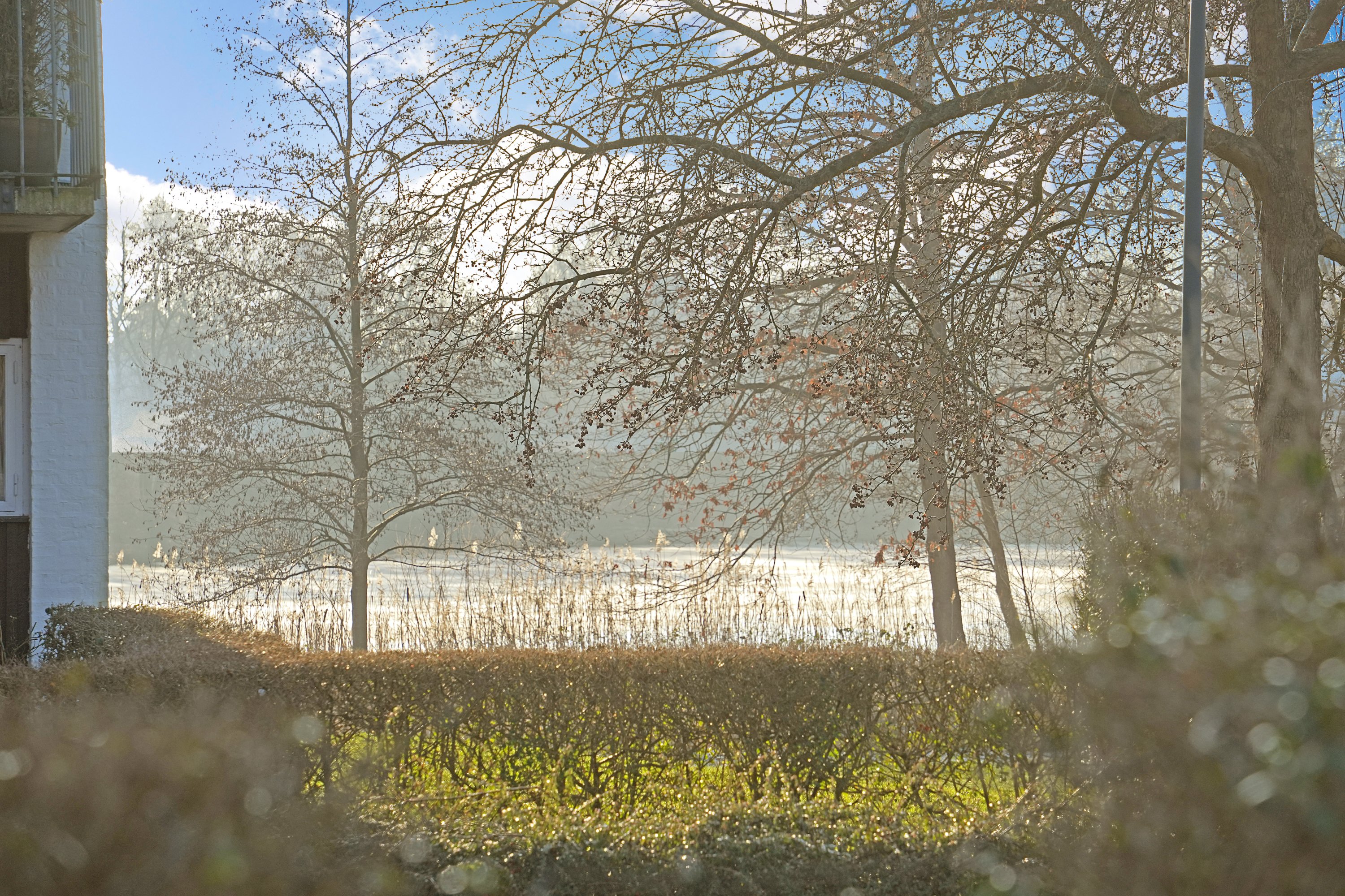 Fremhævet udsigt billede i fuldskærmstilstand. Billede af Søllerød Park 16, st.. 1., Søllerød, 2840 Holte