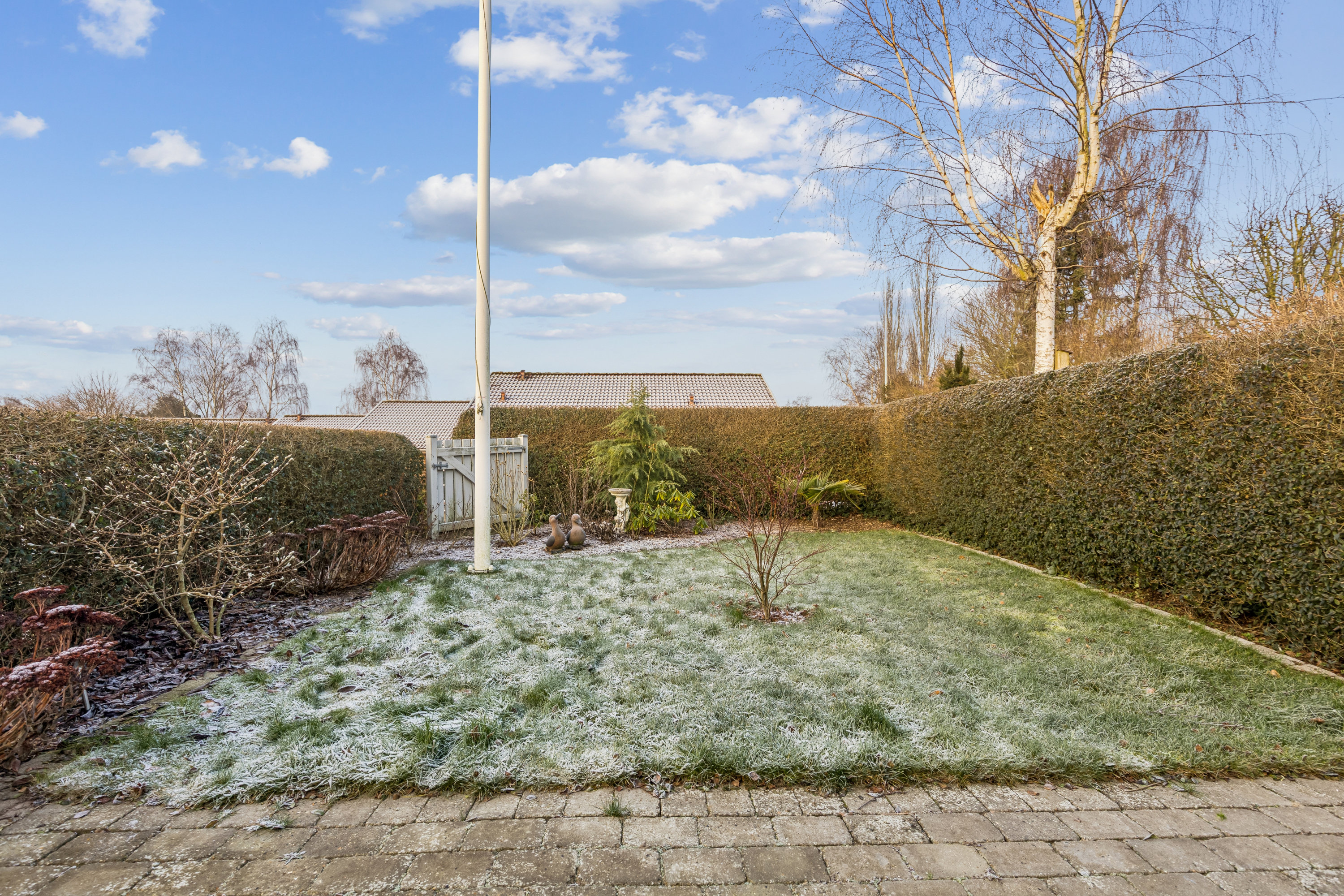 Fremhævet have billede i fuldskærmstilstand. Billede af Anderuplunden 24, Anderup, 5270 Odense N