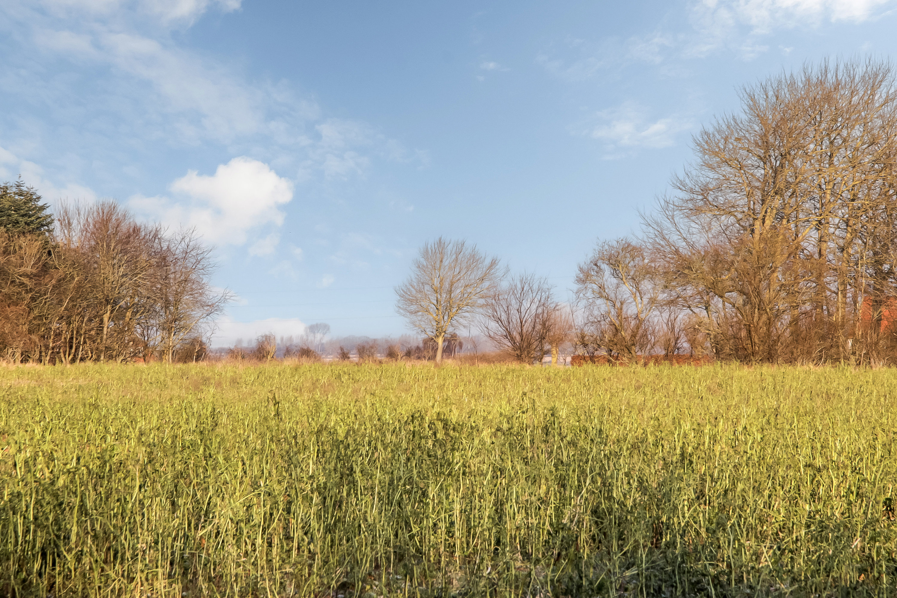 Fremhævet område billede i fuldskærmstilstand. Billede af Trousløkkevej 1, 5960 Marstal