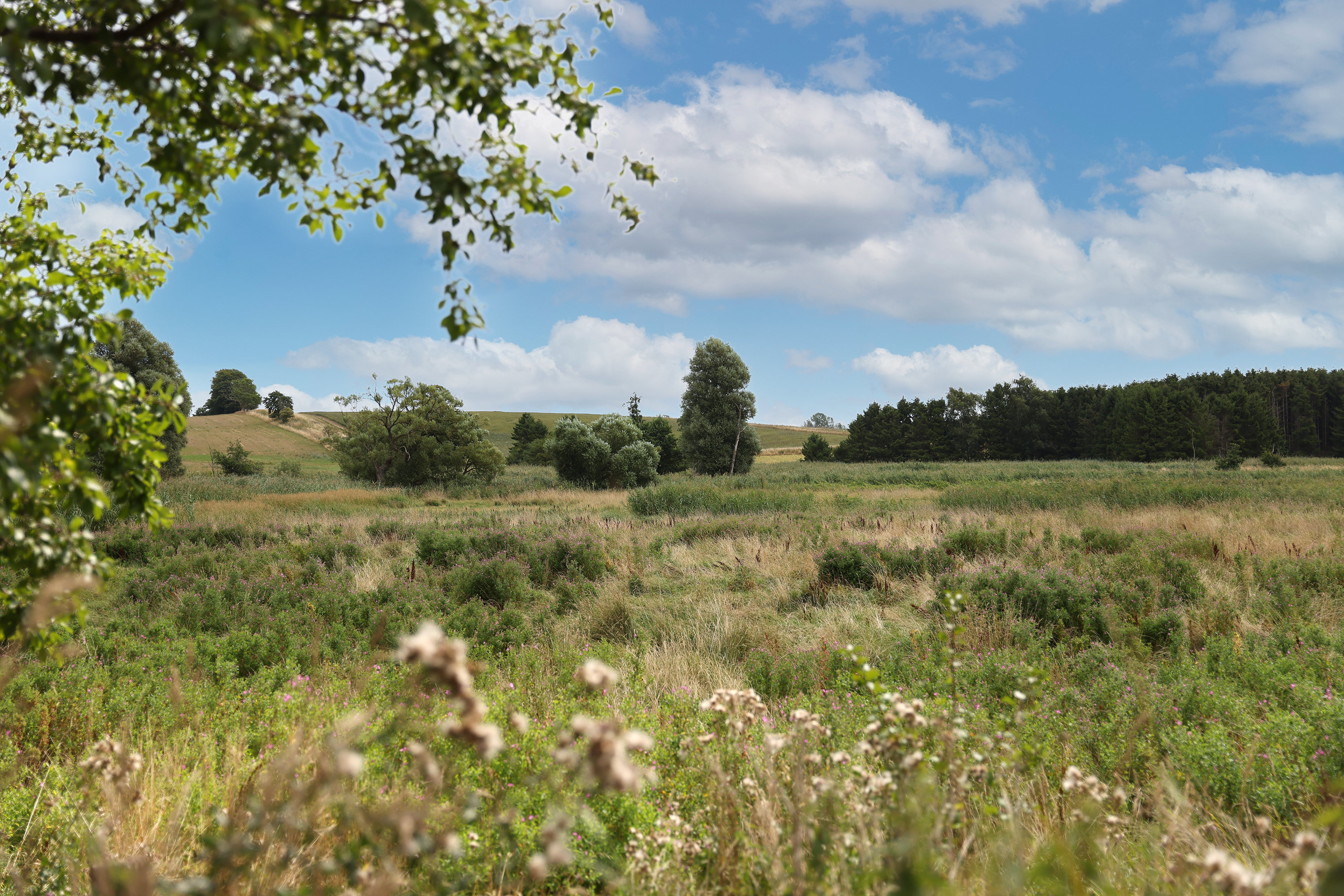Fremhævet  billede i fuldskærmstilstand. Billede af Højmarken 53, Gevninge, 4000 Roskilde