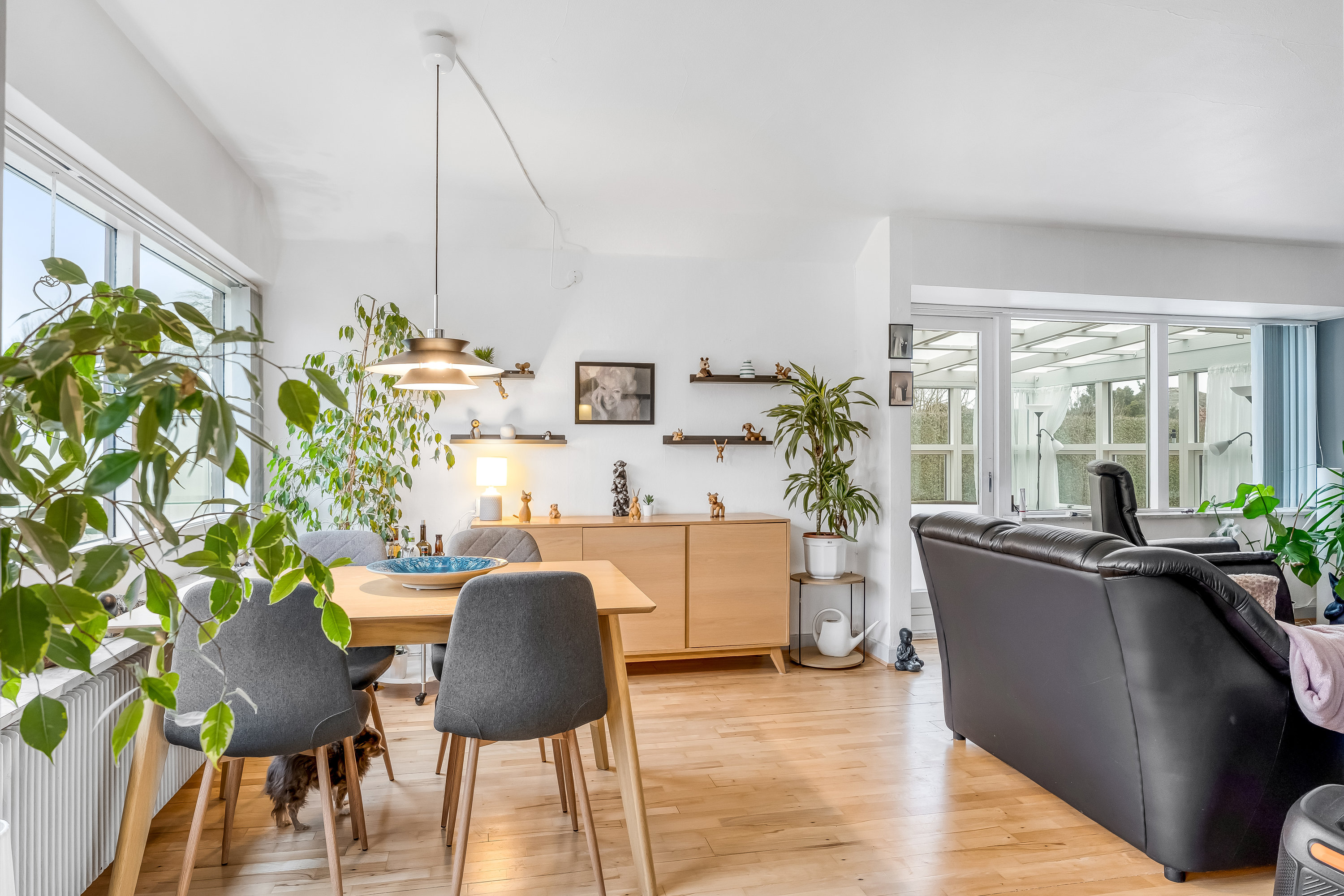 Fremhævet stue billede i fuldskærmstilstand. Billede af Møllevej 54, 4872 Idestrup