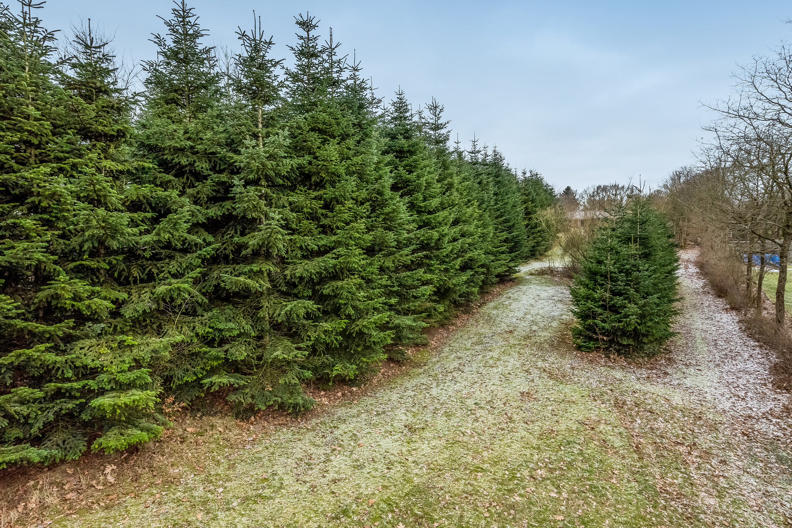 Fremhævet have billede i fuldskærmstilstand. Billede af Fuglebakken 12, Herrup, 7830 Vinderup