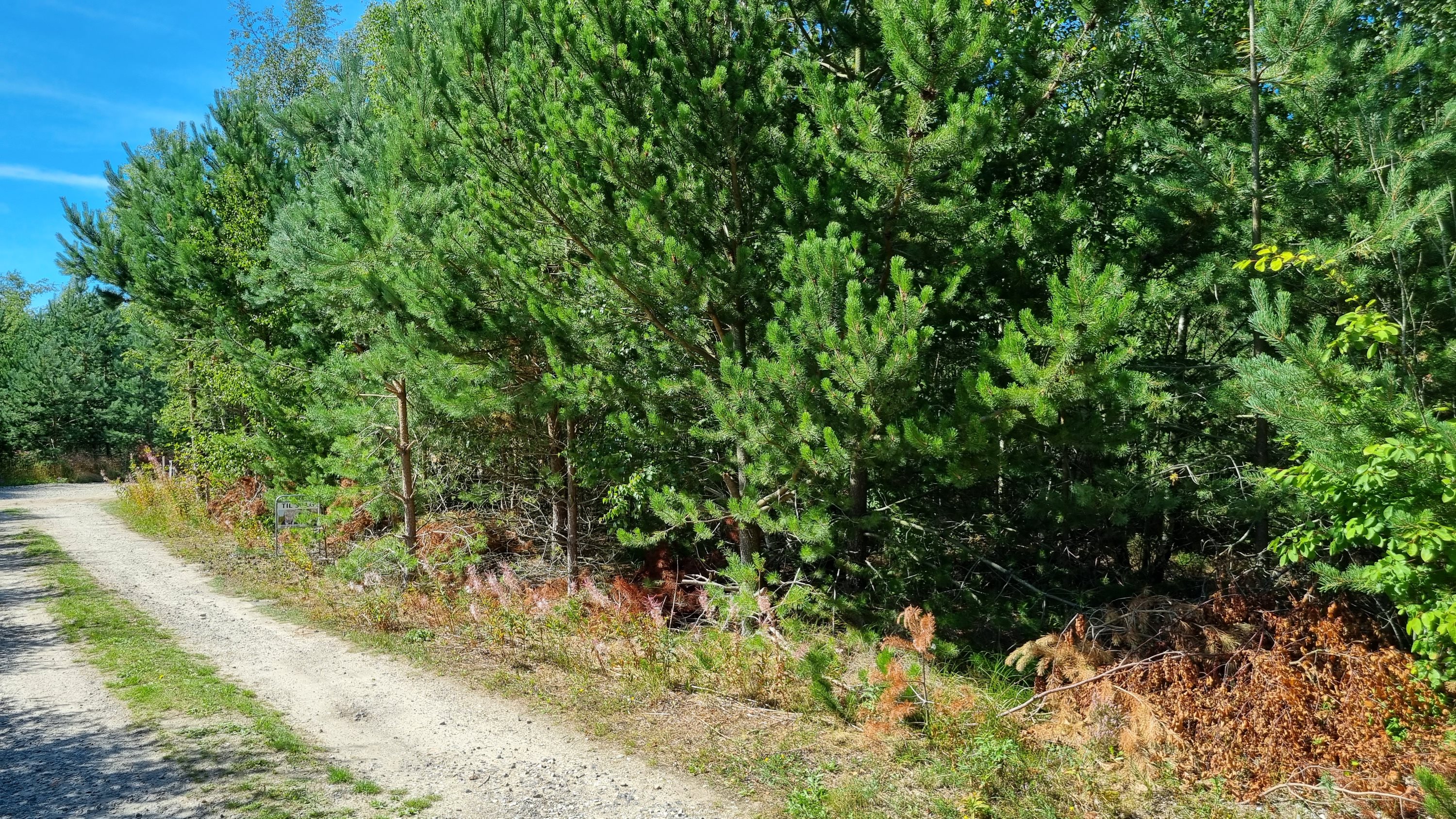 Miniaturebillede 1: andet. Billede af Fuglekongevej 4, Østerby, 9940 Læsø