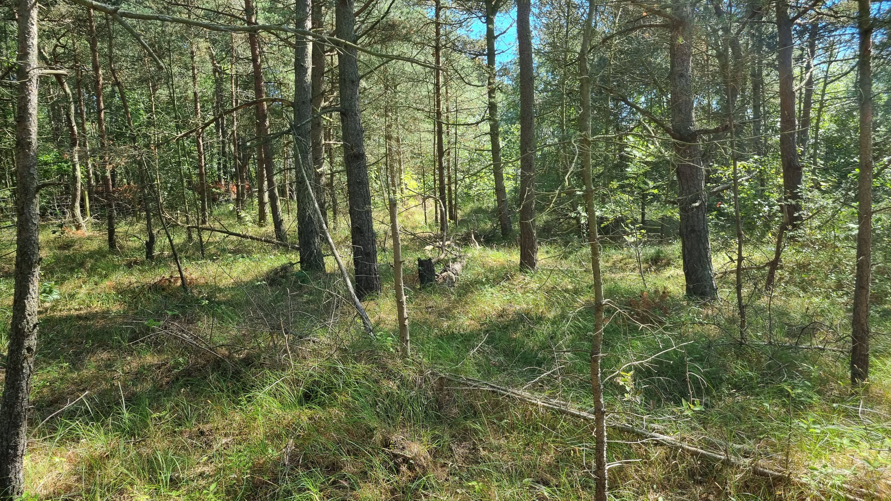 Fremhævet andet billede i fuldskærmstilstand. Billede af Campingpladsvej 23A, Østerby Havn, 9940 Læsø