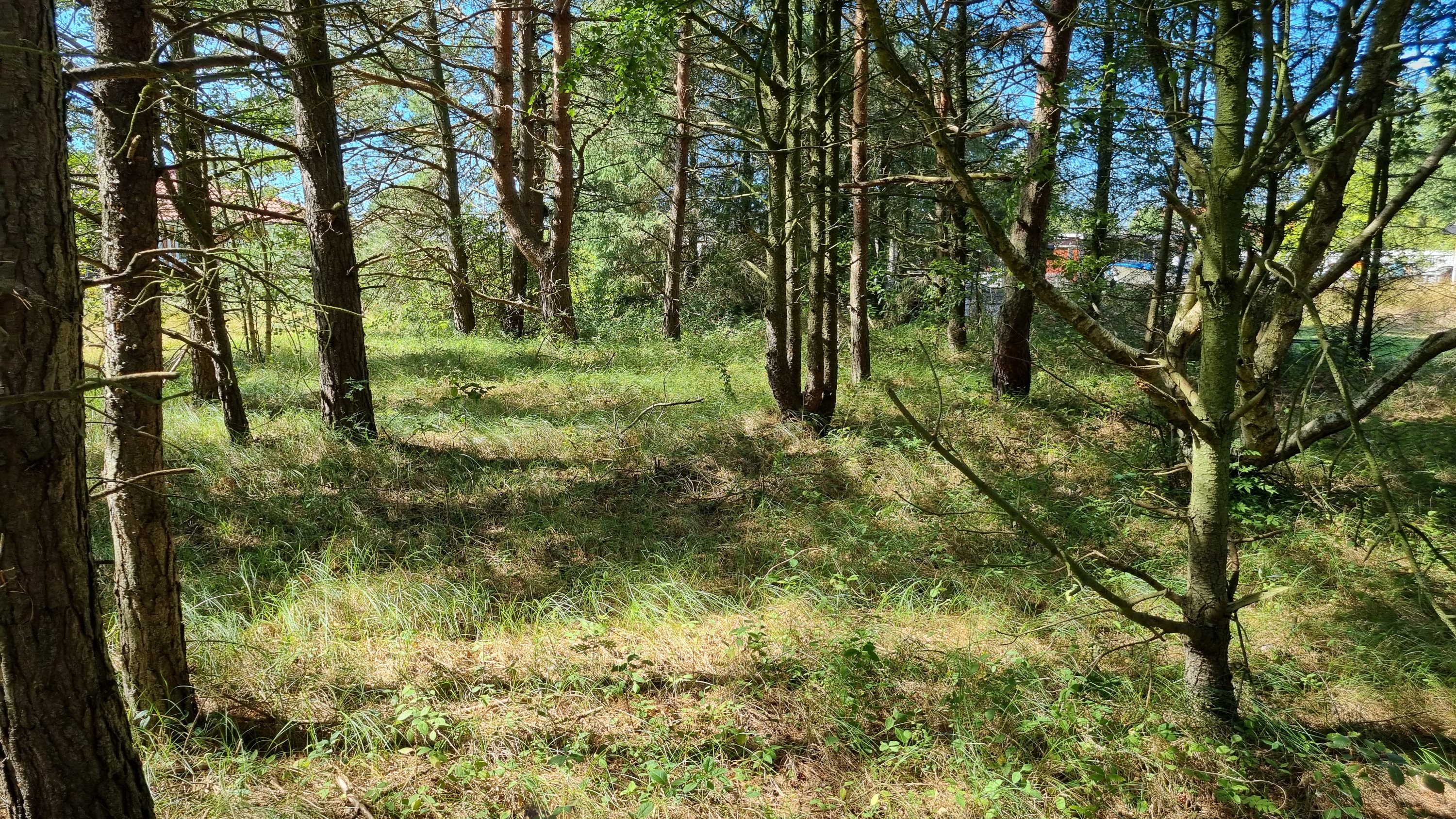 Fremhævet andet billede i fuldskærmstilstand. Billede af Campingpladsvej 23A, Østerby Havn, 9940 Læsø