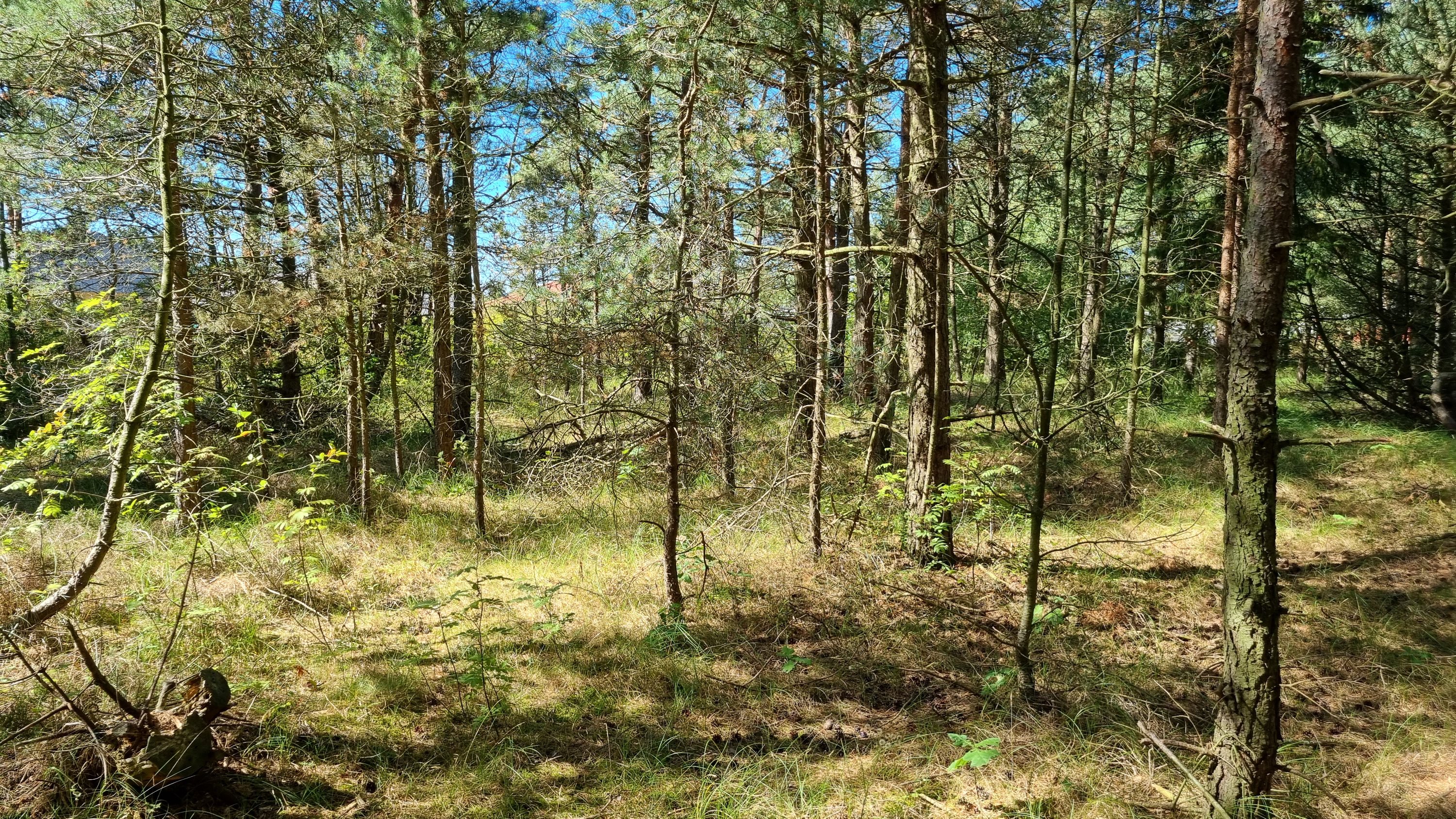 Fremhævet andet billede i fuldskærmstilstand. Billede af Campingpladsvej 23A, Østerby Havn, 9940 Læsø