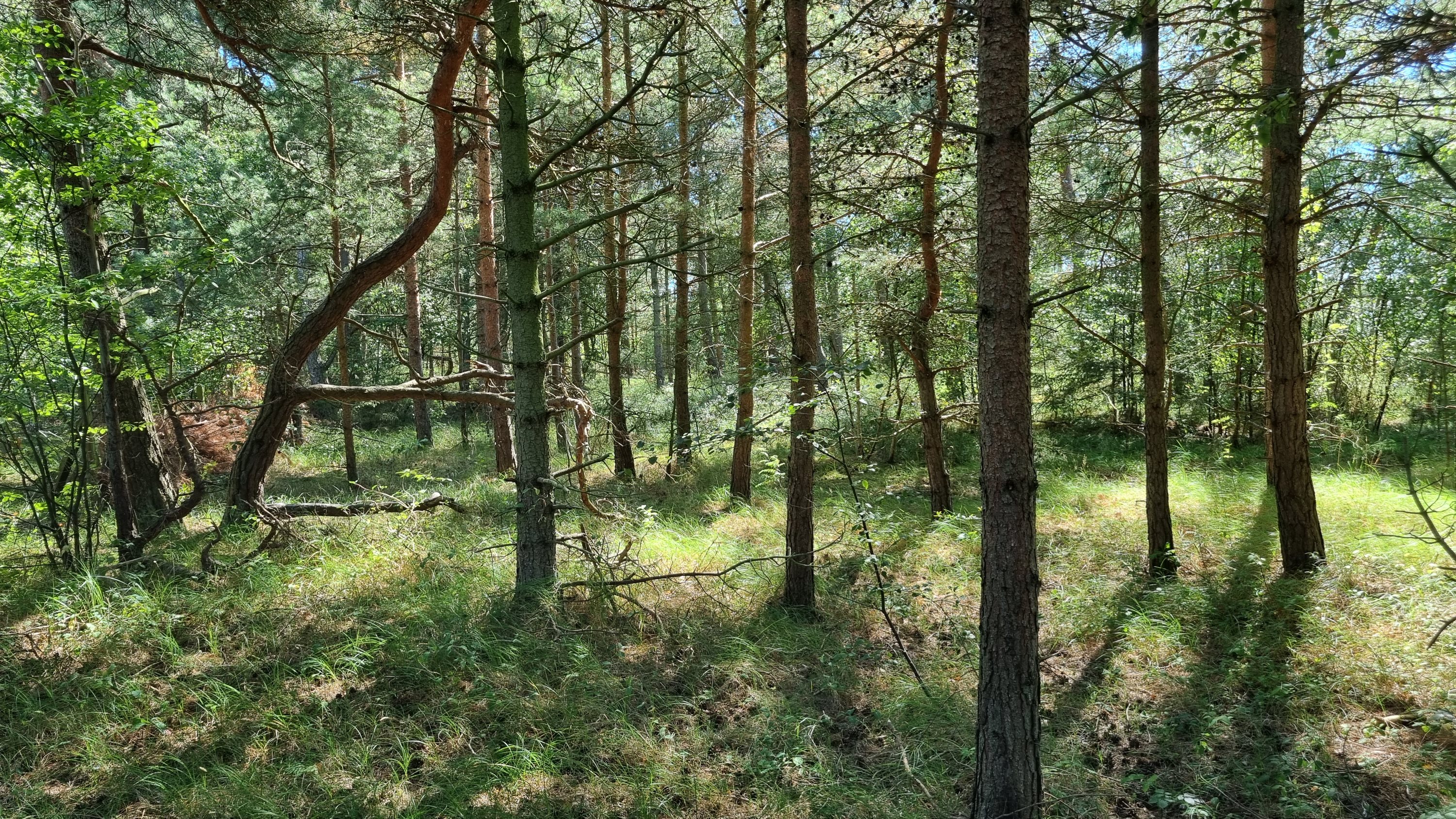 Fremhævet andet billede i fuldskærmstilstand. Billede af Campingpladsvej 23A, Østerby Havn, 9940 Læsø