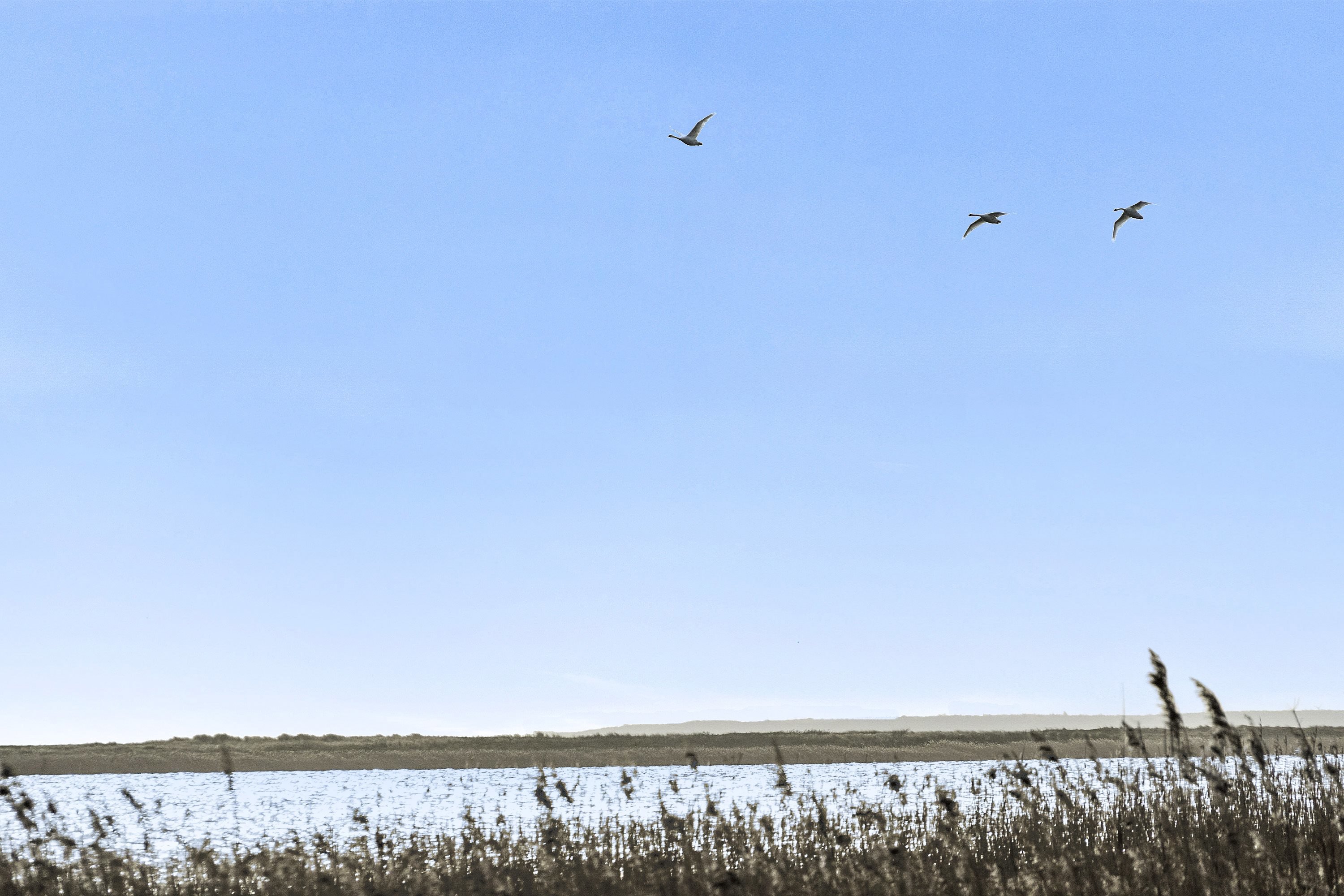 Miniaturebillede 1: . Billede af Havstokken 2, 4600 Køge