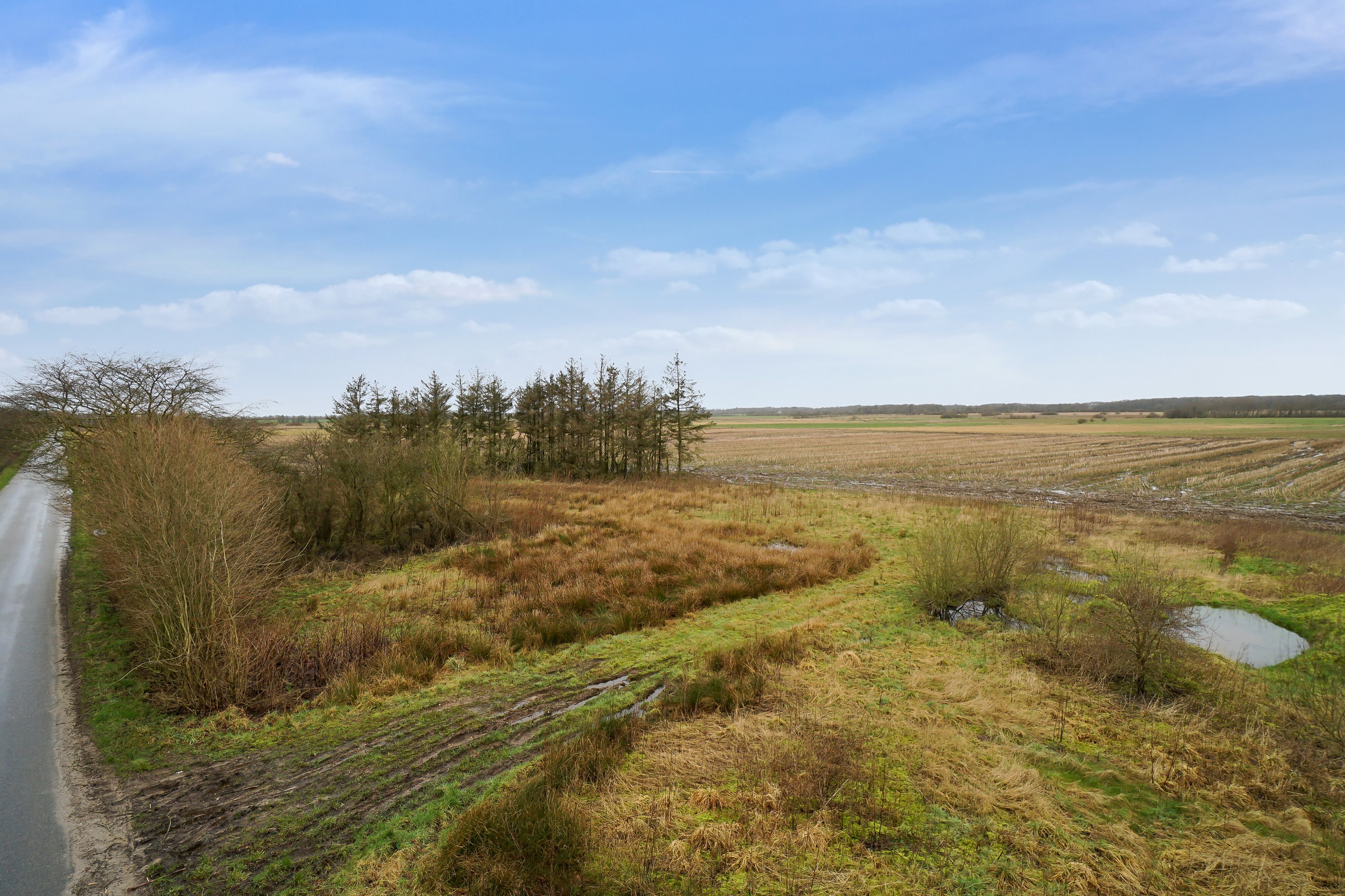 Miniaturebillede 1: omgivelser. Billede af Hølleskovvej 26, Spandet, 6760 Ribe