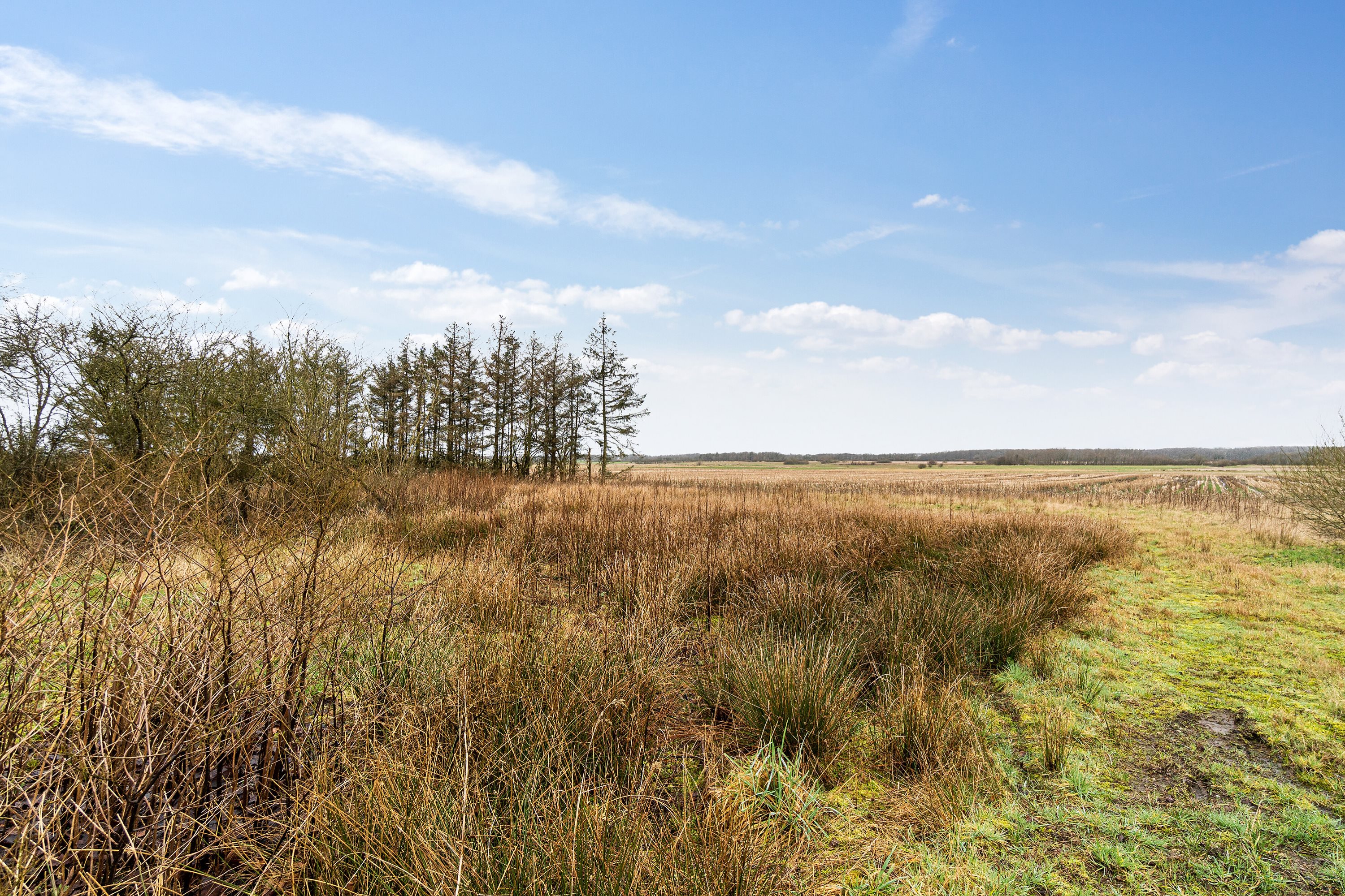 Miniaturebillede 2: omgivelser. Billede af Hølleskovvej 26, Spandet, 6760 Ribe