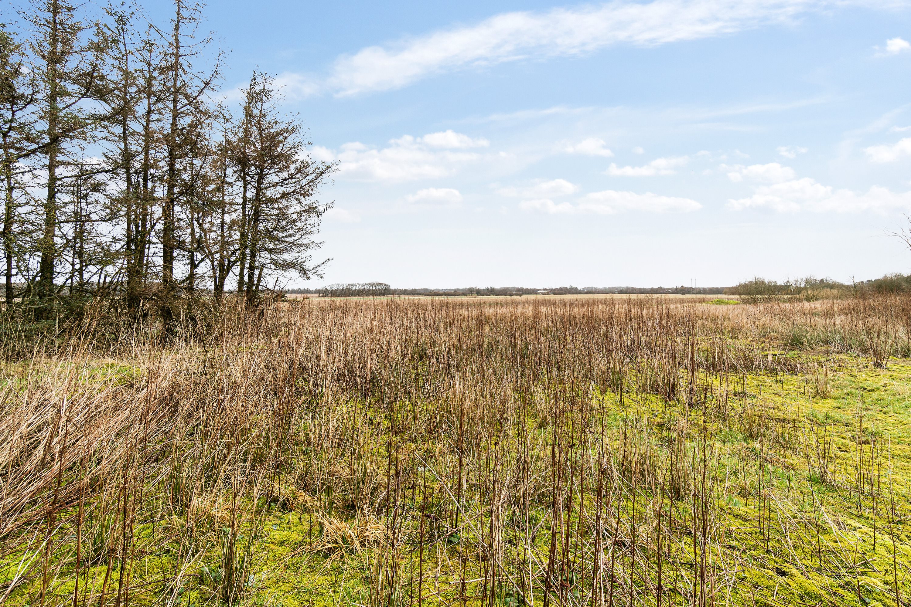 Fremhævet omgivelser billede i fuldskærmstilstand. Billede af Hølleskovvej 26, Spandet, 6760 Ribe