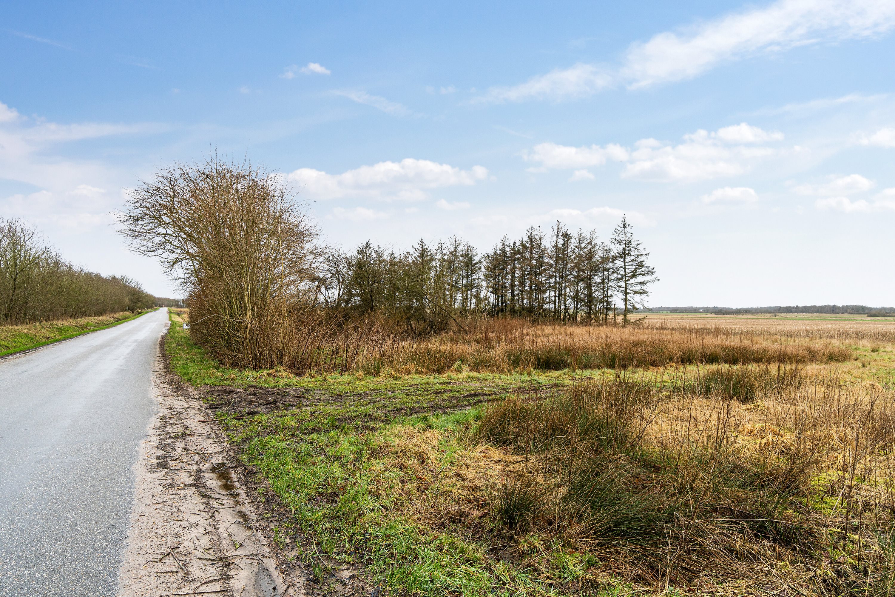Fremhævet omgivelser billede i fuldskærmstilstand. Billede af Hølleskovvej 26, Spandet, 6760 Ribe