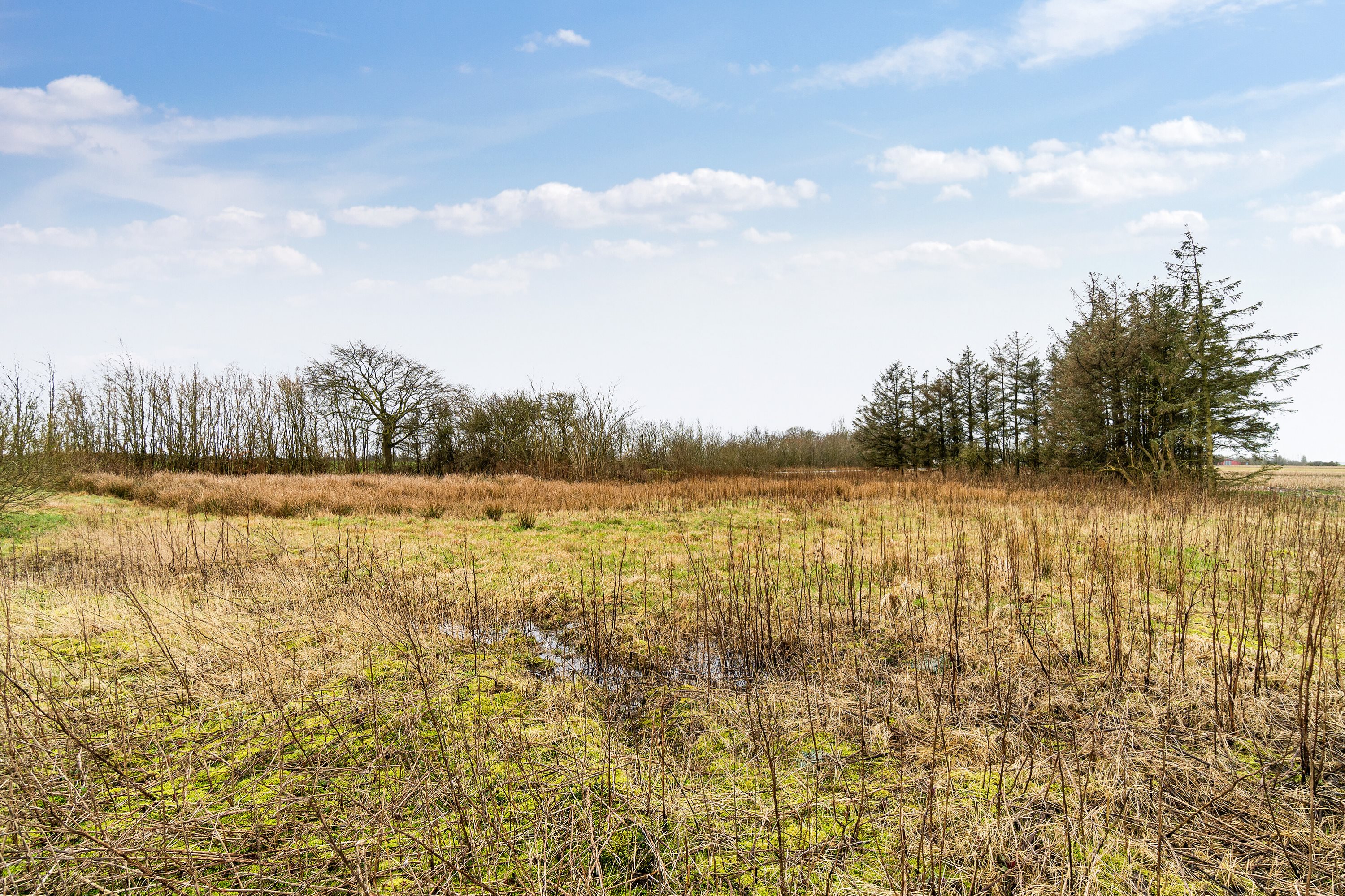 Fremhævet omgivelser billede i fuldskærmstilstand. Billede af Hølleskovvej 26, Spandet, 6760 Ribe