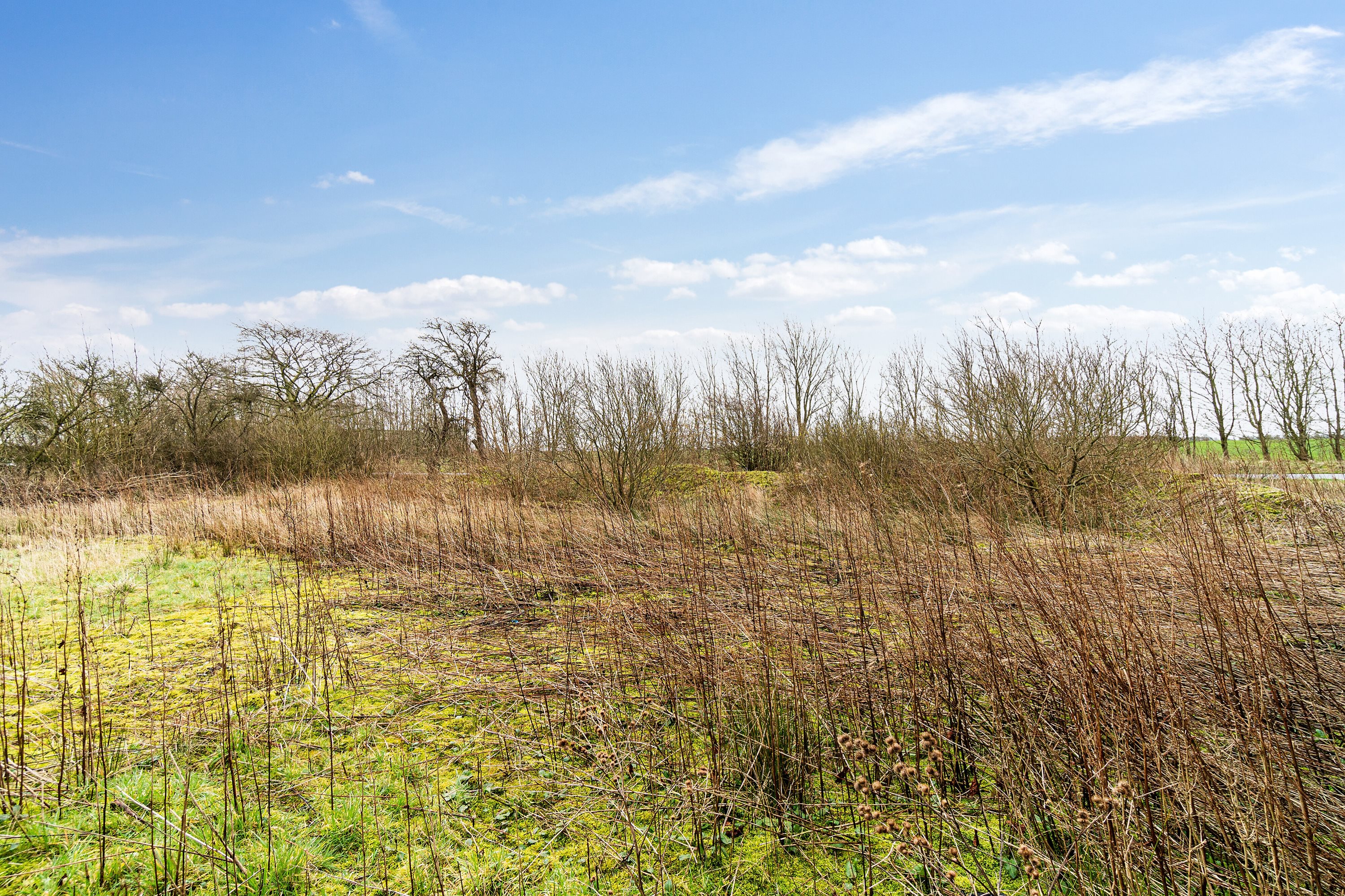 Fremhævet omgivelser billede i fuldskærmstilstand. Billede af Hølleskovvej 26, Spandet, 6760 Ribe