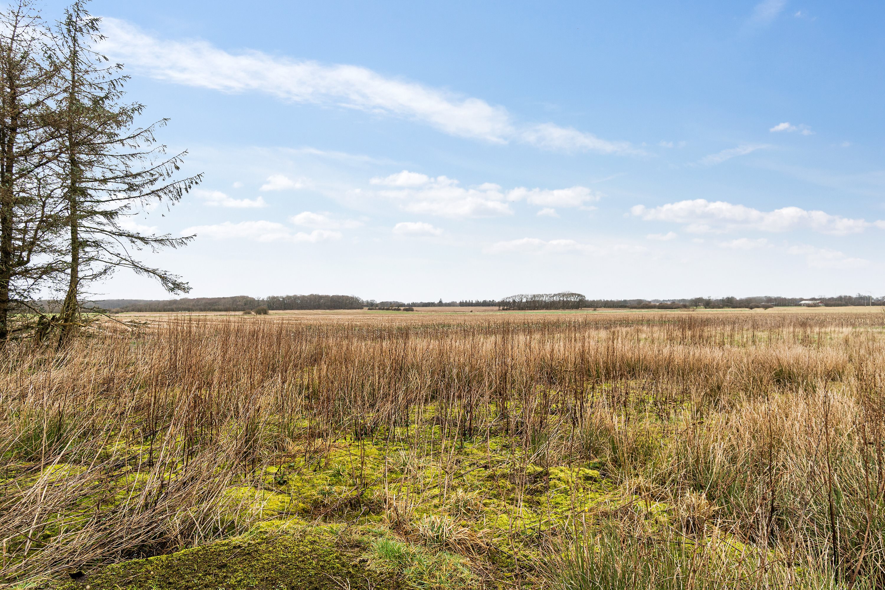 Fremhævet omgivelser billede i fuldskærmstilstand. Billede af Hølleskovvej 26, Spandet, 6760 Ribe