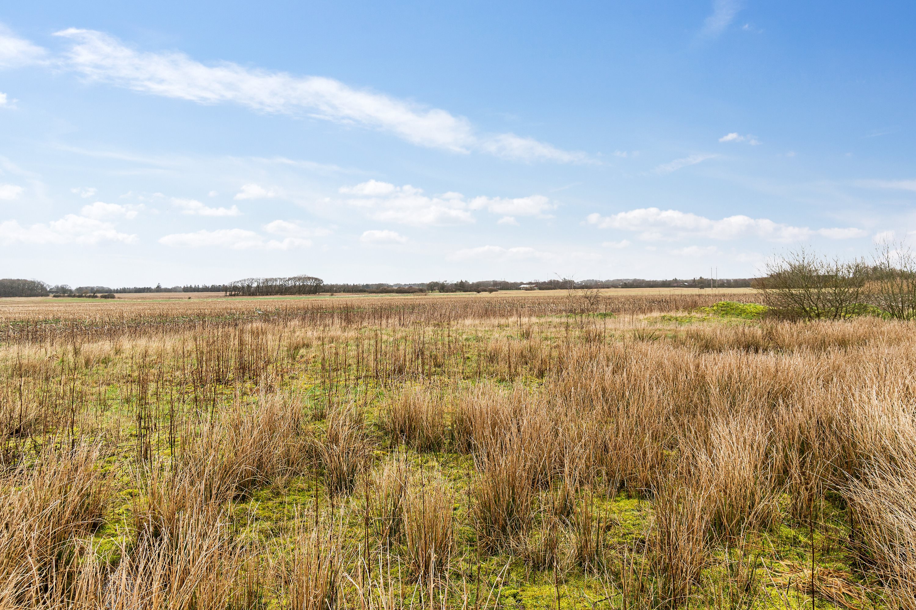 Fremhævet omgivelser billede i fuldskærmstilstand. Billede af Hølleskovvej 26, Spandet, 6760 Ribe