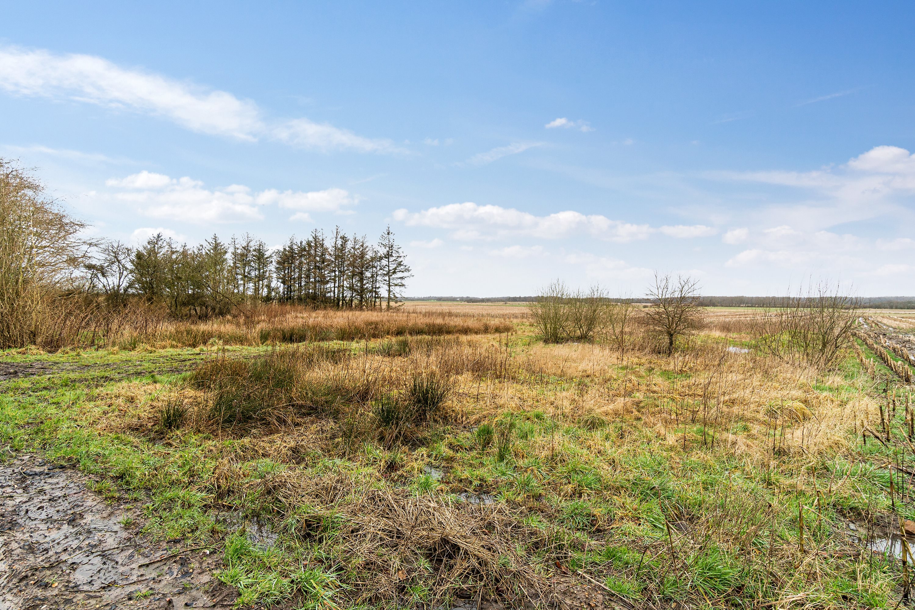 Fremhævet omgivelser billede i fuldskærmstilstand. Billede af Hølleskovvej 26, Spandet, 6760 Ribe