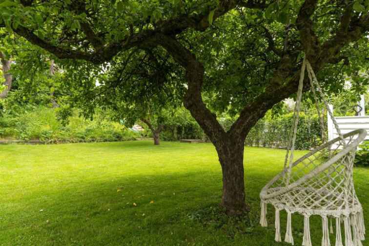 Fremhævet  billede i fuldskærmstilstand. Billede af Hyldegårdsvej 45, st.., 2920 Charlottenlund