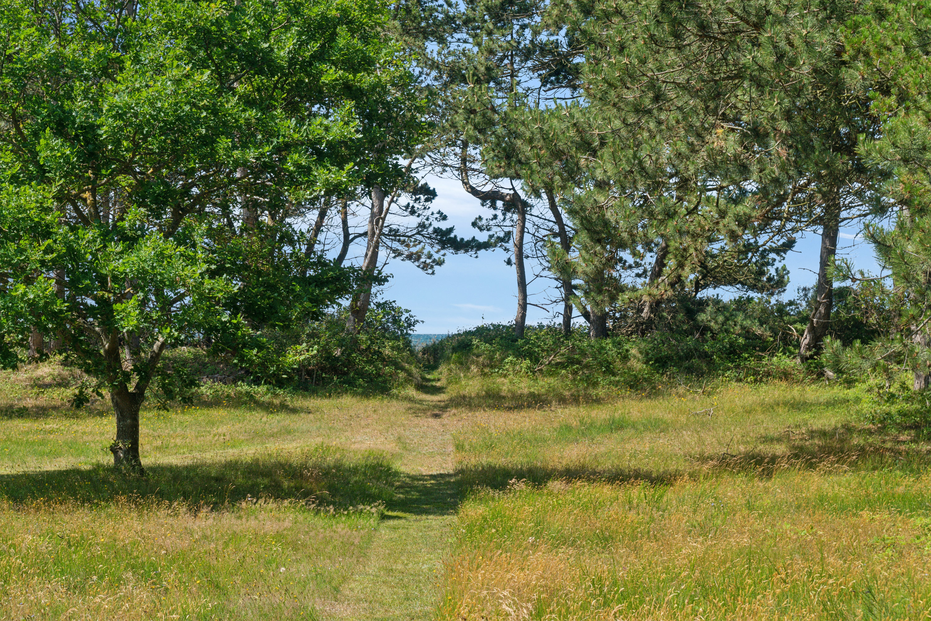 Fremhævet  billede i fuldskærmstilstand. Billede af Klyngestien 11, 4400 Kalundborg