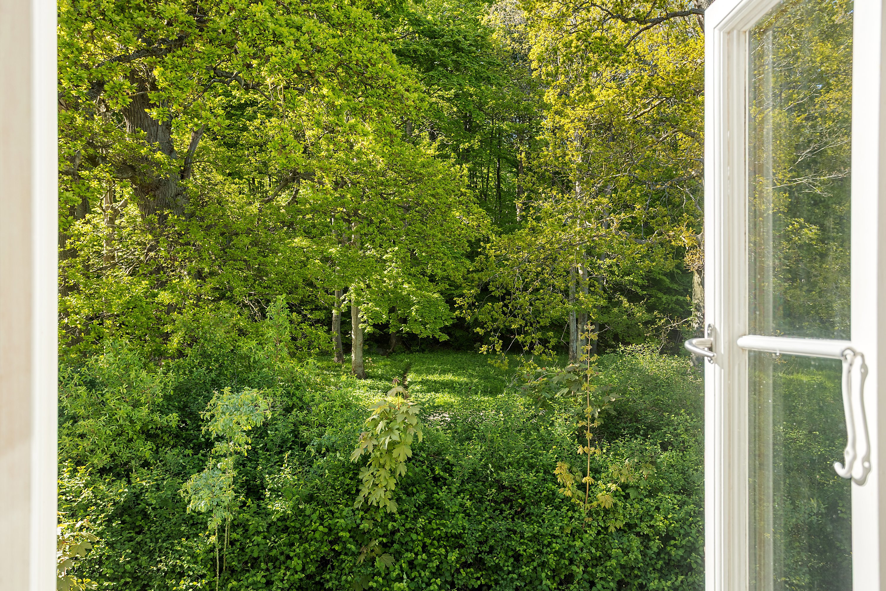 Fremhævet  billede i fuldskærmstilstand. Billede af Strandvejen 268B, Skotterup, 3070 Snekkersten