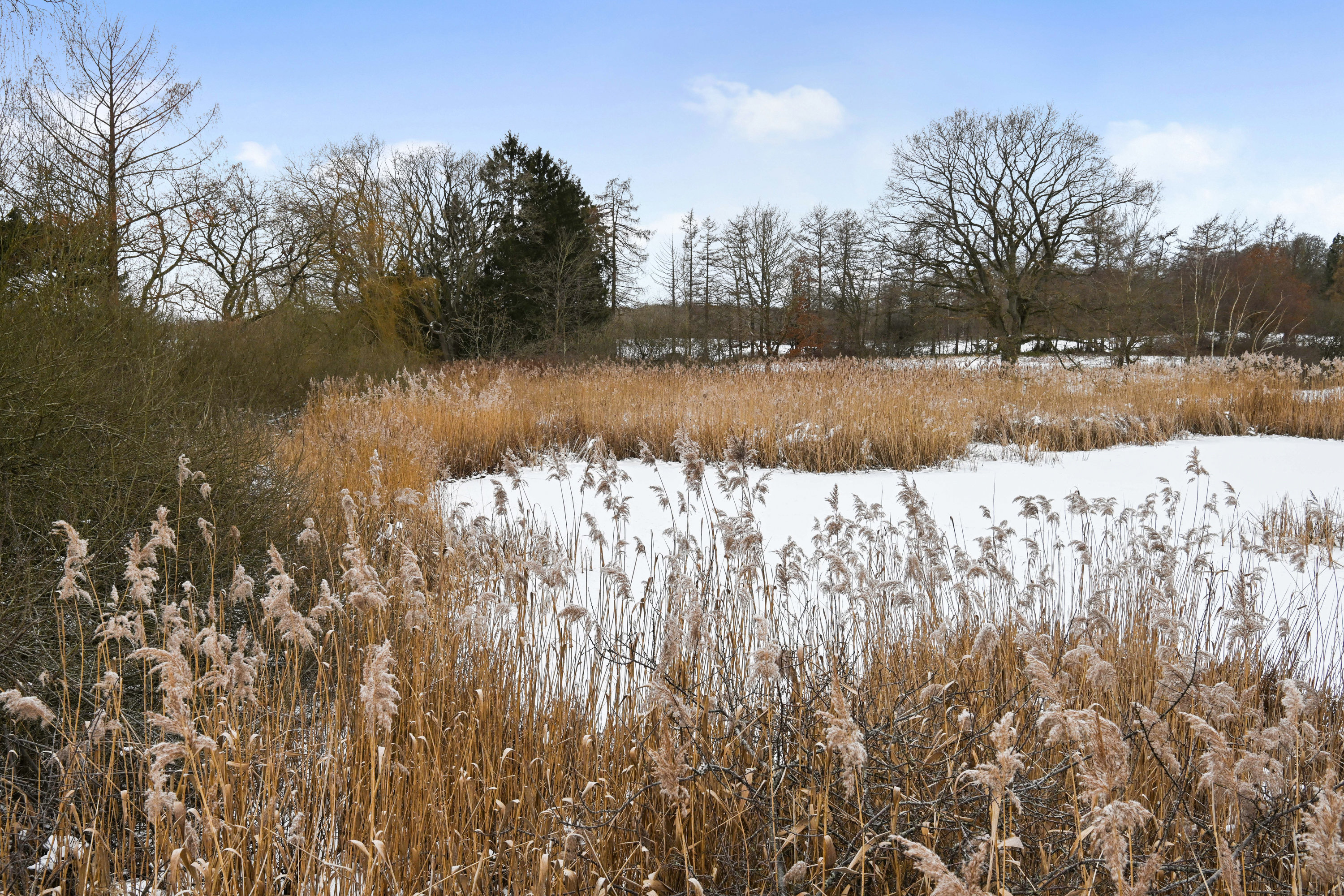 Fremhævet andet billede i fuldskærmstilstand. Billede af Moselodden 11, 2750 Ballerup
