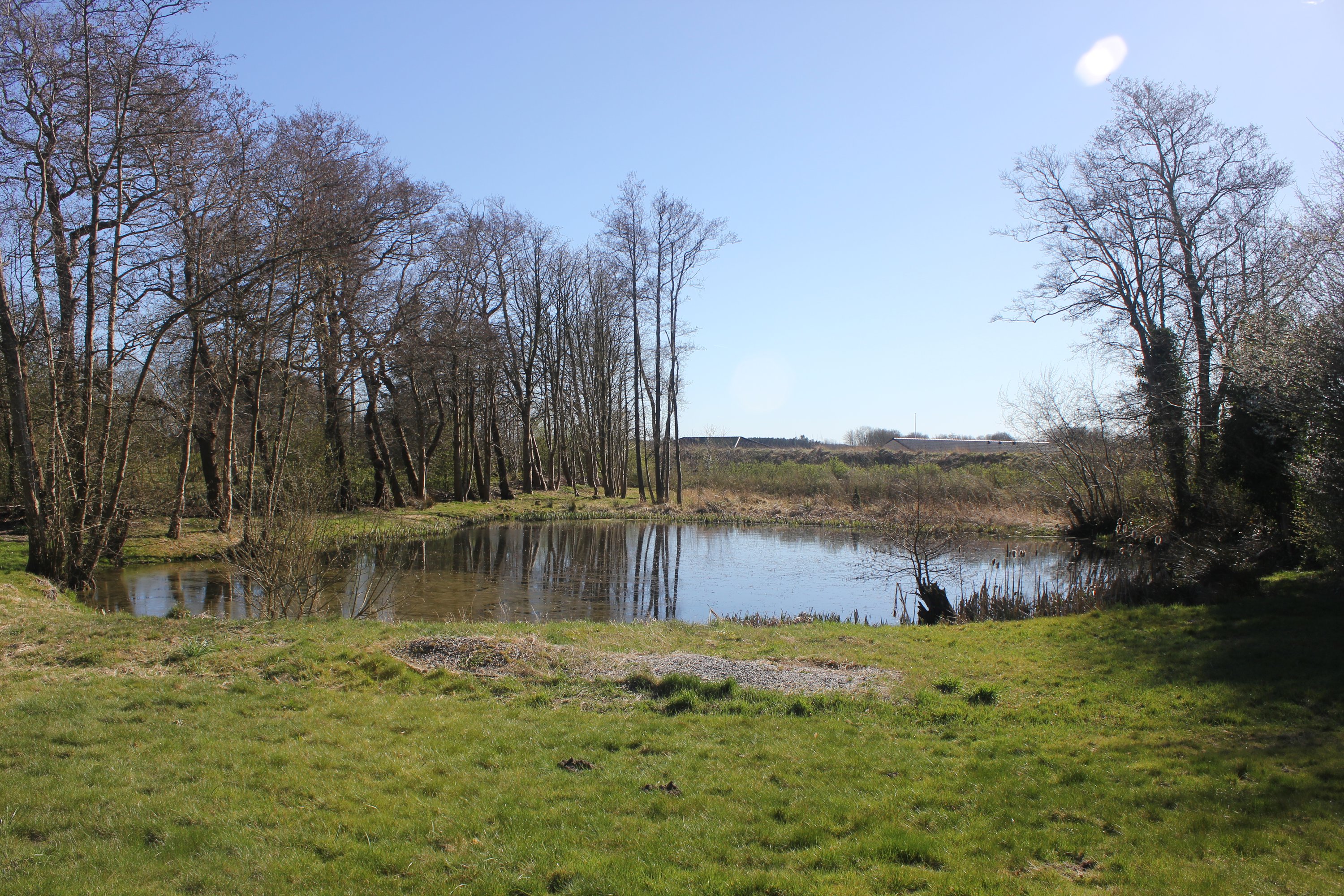 Fremhævet  billede i fuldskærmstilstand. Billede af Hovedgaden 10, Tvis, 7500 Holstebro